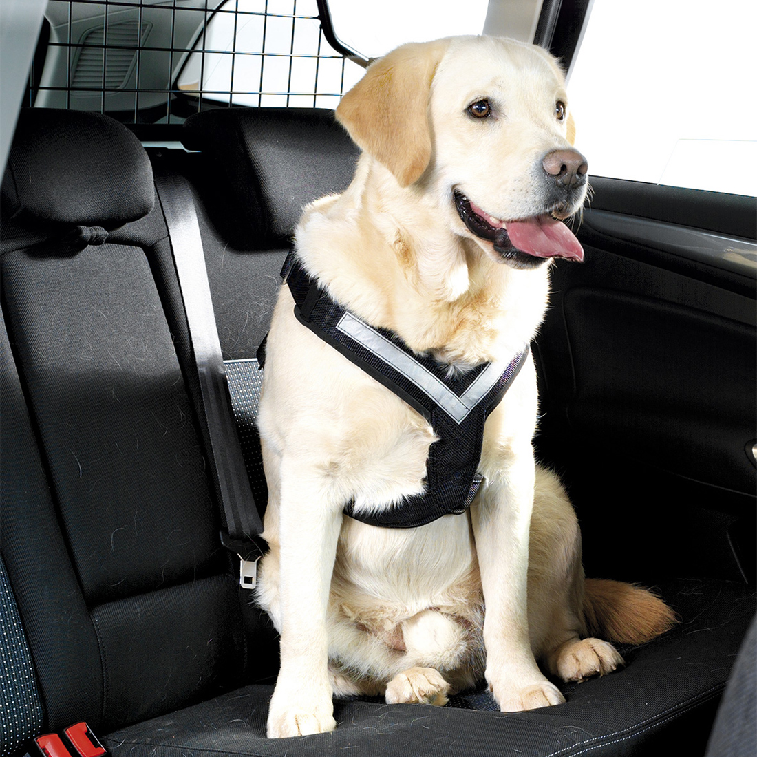 Hundsele MIM AllSafe L