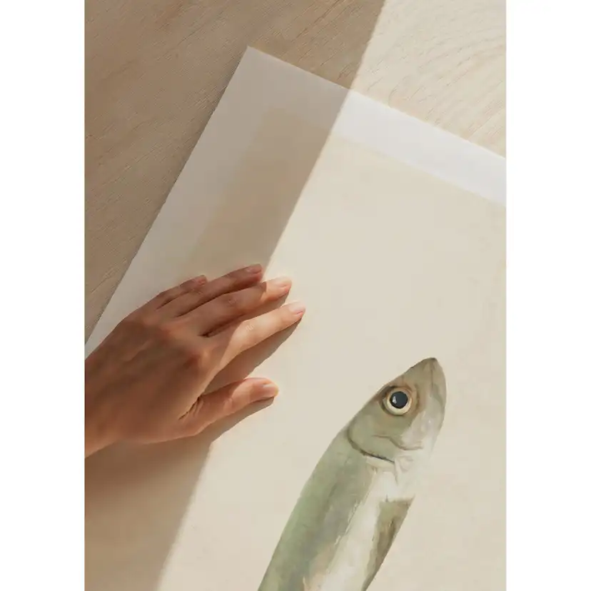Poster Gallerix Colored Sardine