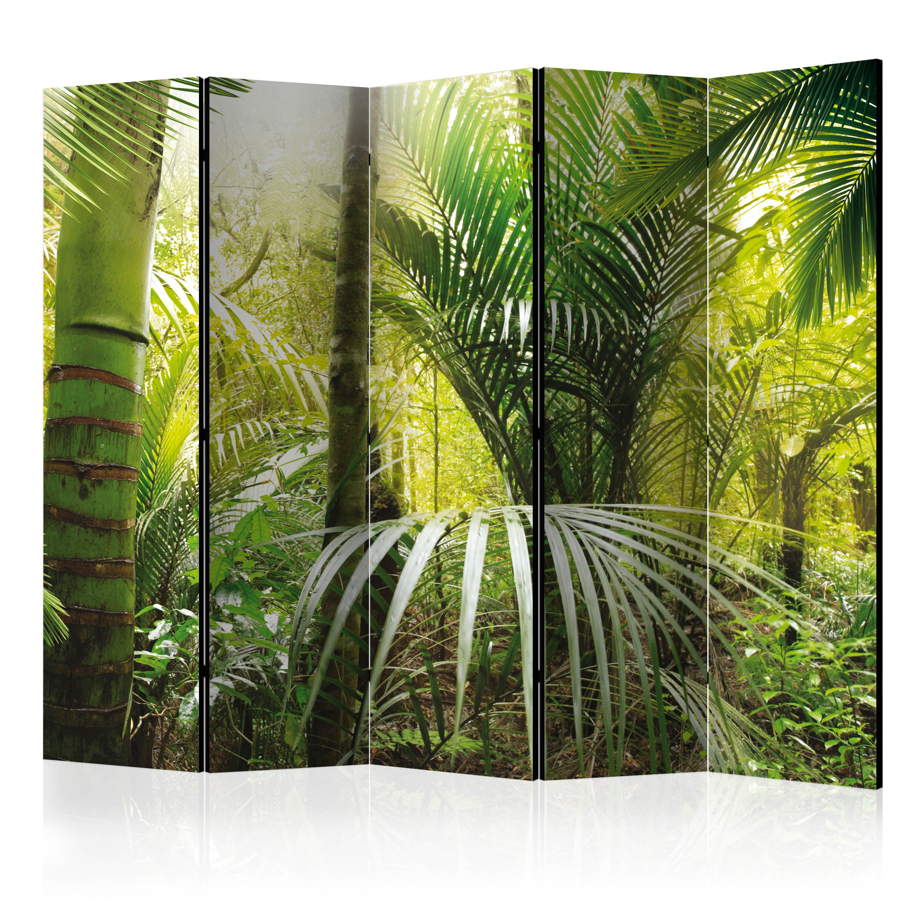 Rumsavdelare Arkiio Green Alley II 225x172 cm