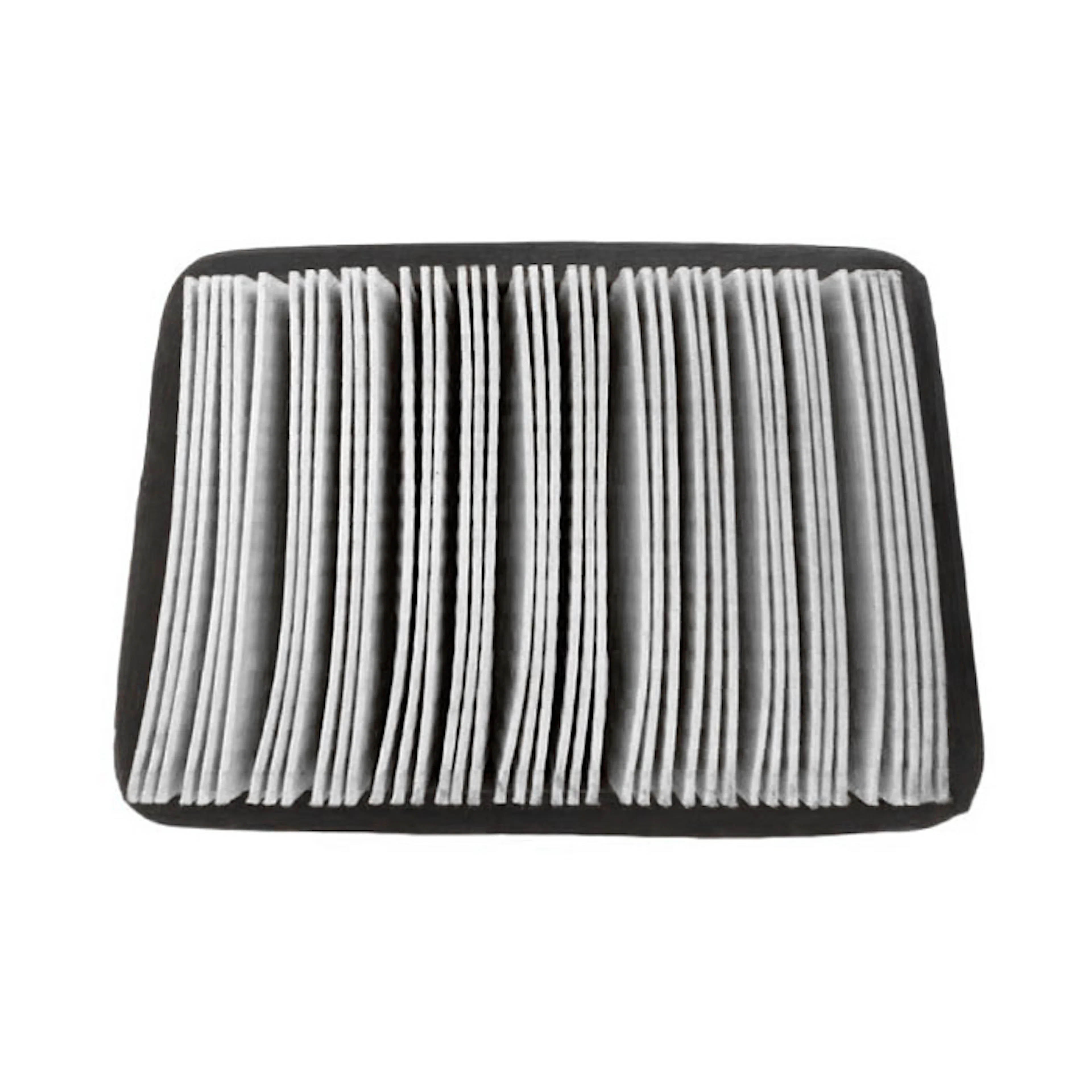 Luftfilter Champion Generators för 73001i-Serien