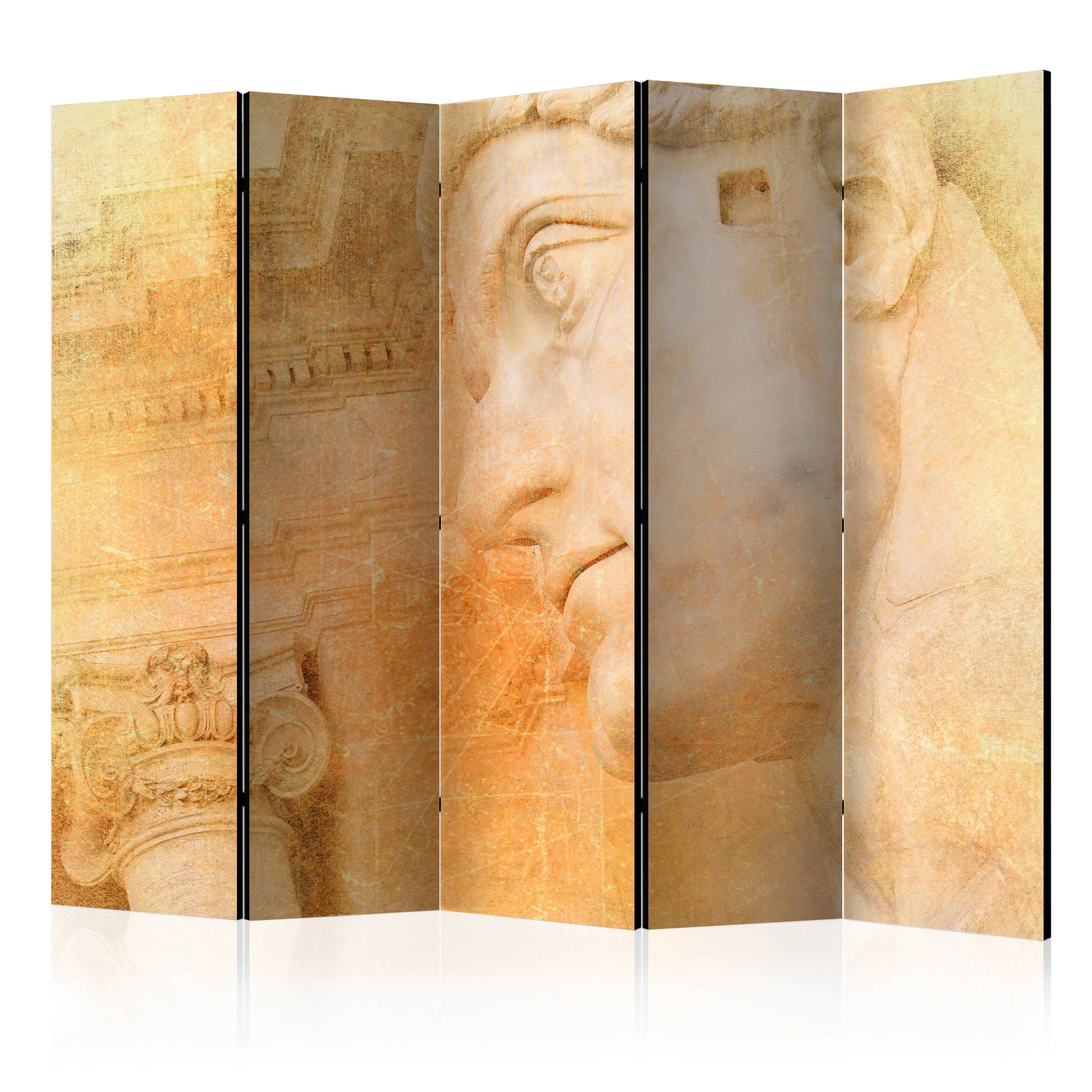 Rumsavdelare Arkiio Greek God II 225x172 cm