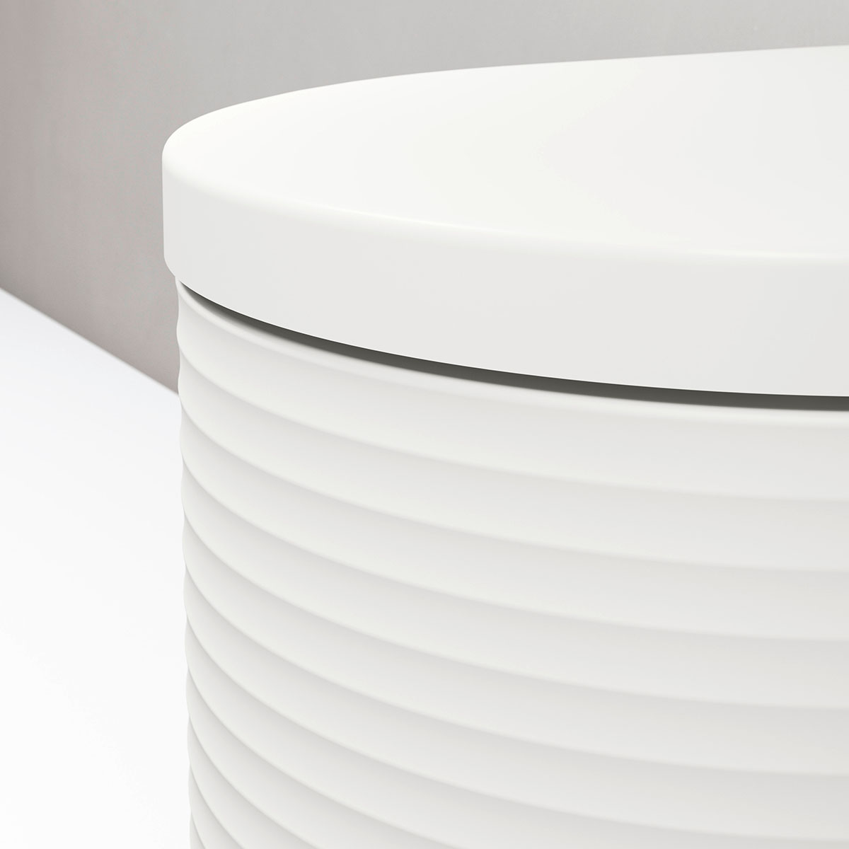 Vägghängd Toalettstol Duravit Millio Grooves
