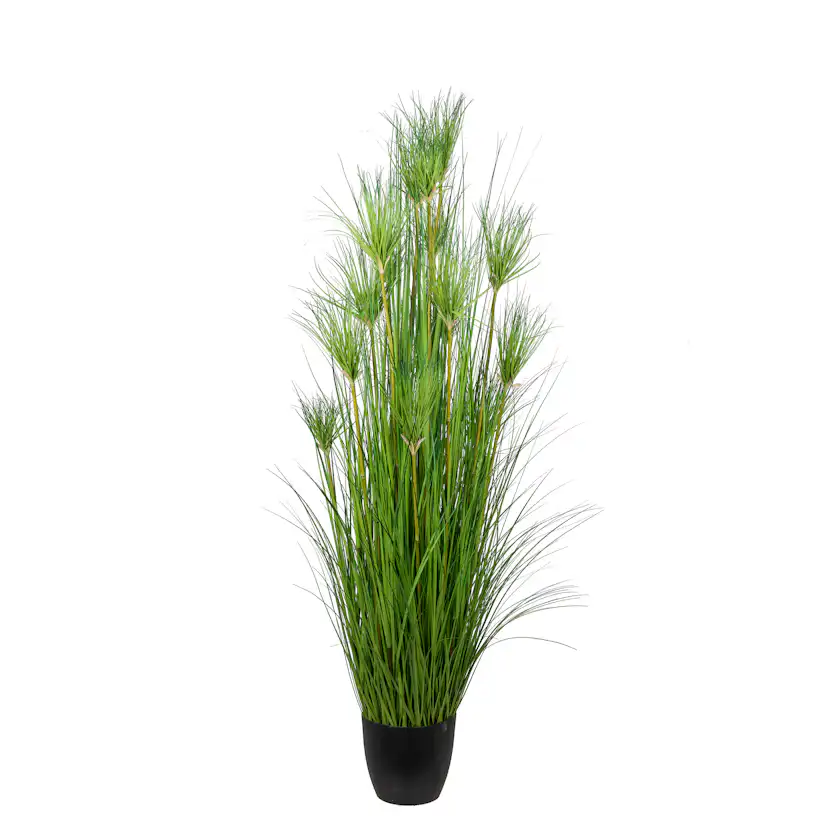 Konstväxt Mr Plant Papyrus
