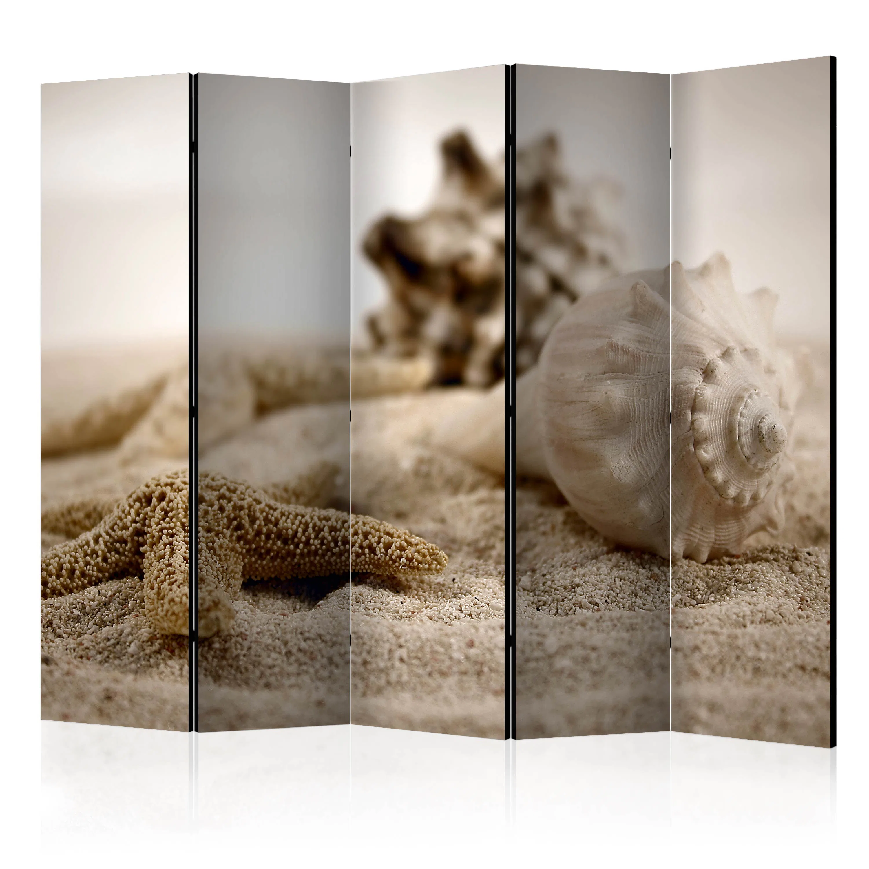 Rumsavdelare Arkiio Beach and Shell II 225x172 cm