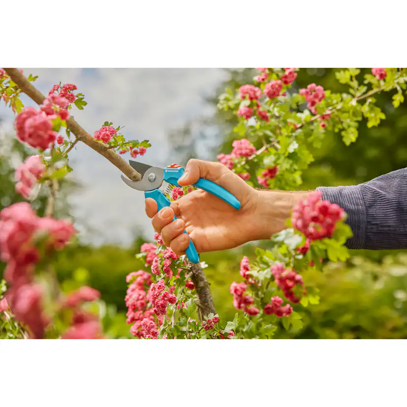 Sekatör Gardena EasyCut