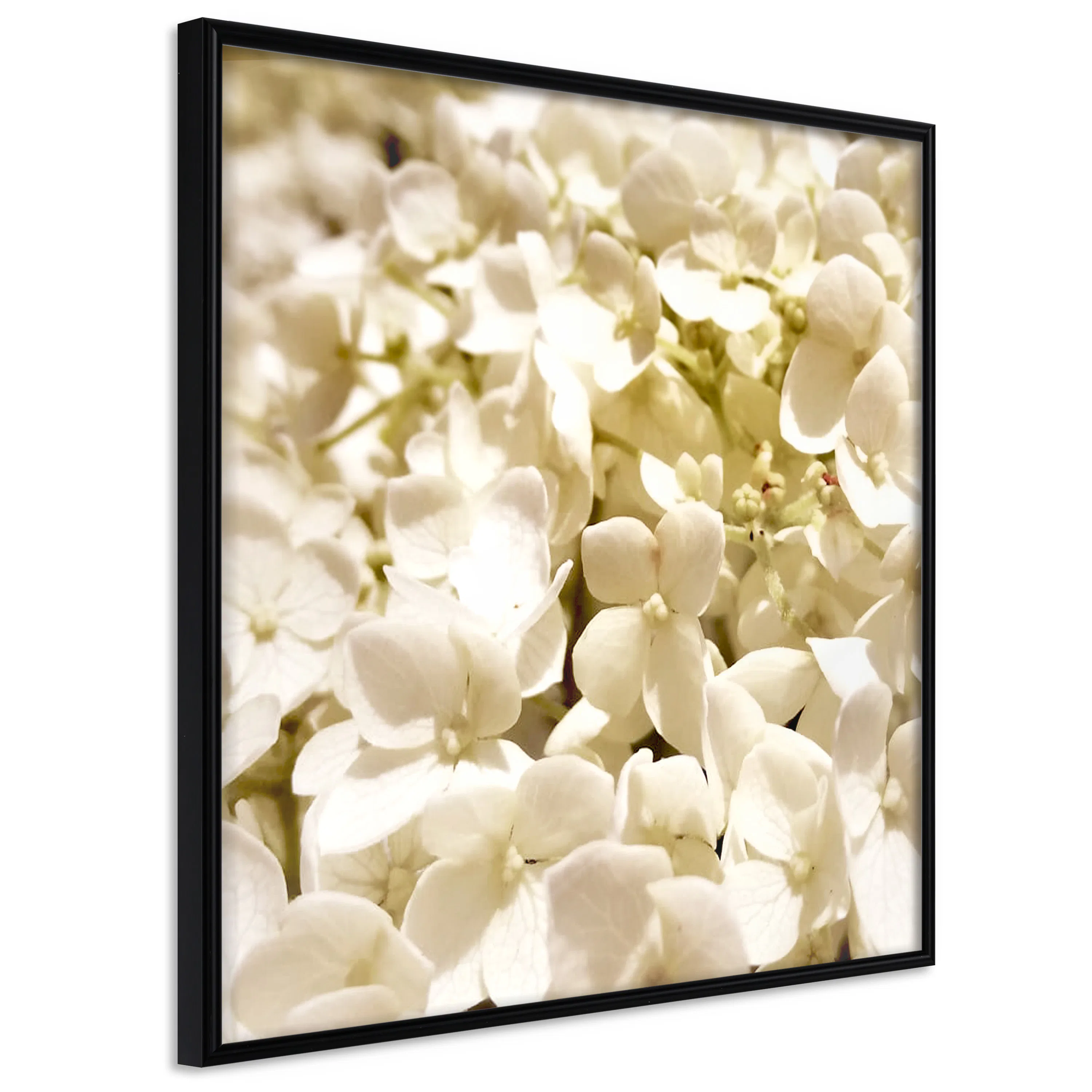 Poster Artgeist Affisch White Meadow