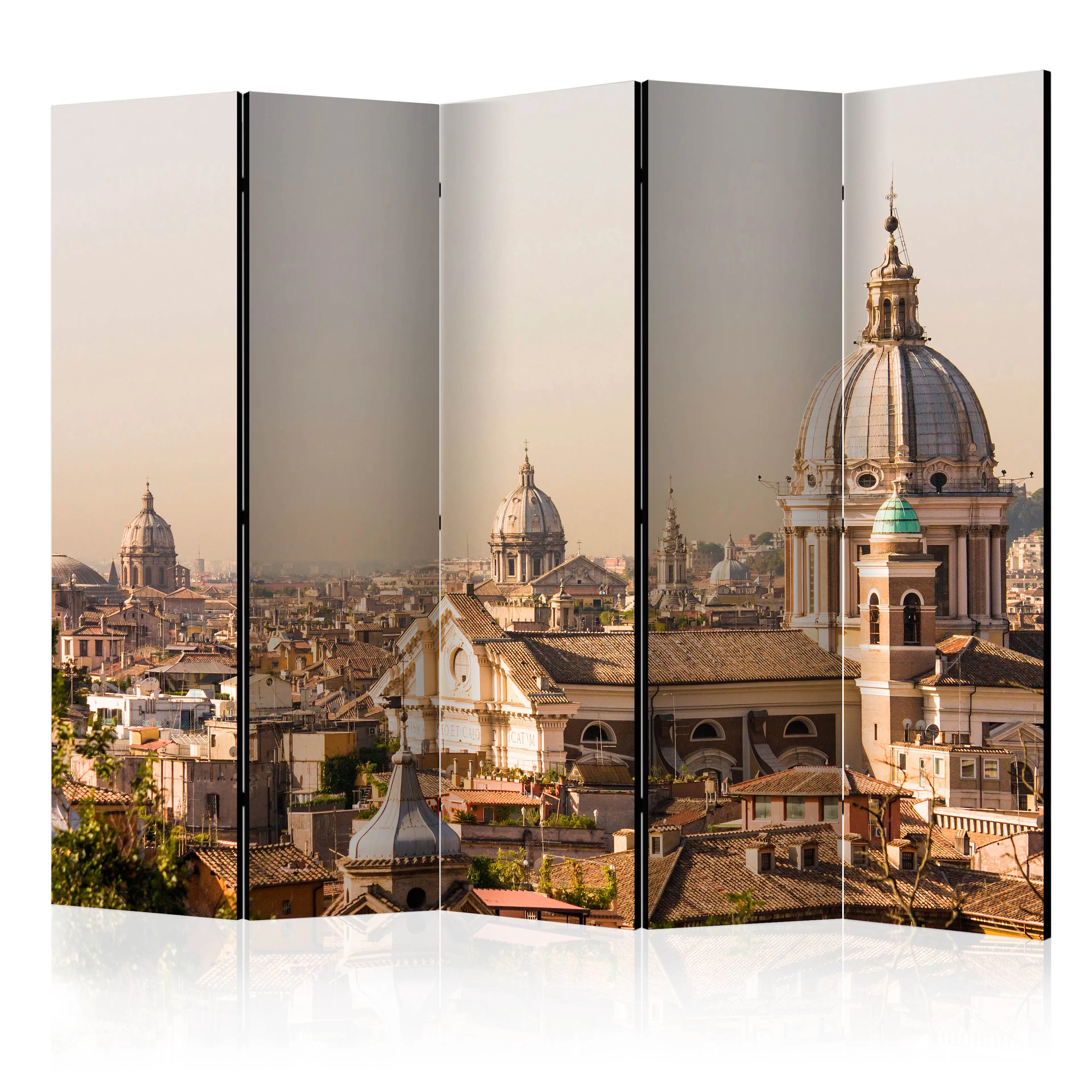 Rumsavdelare Arkiio Rome Bird's Eye View II 225x172 cm