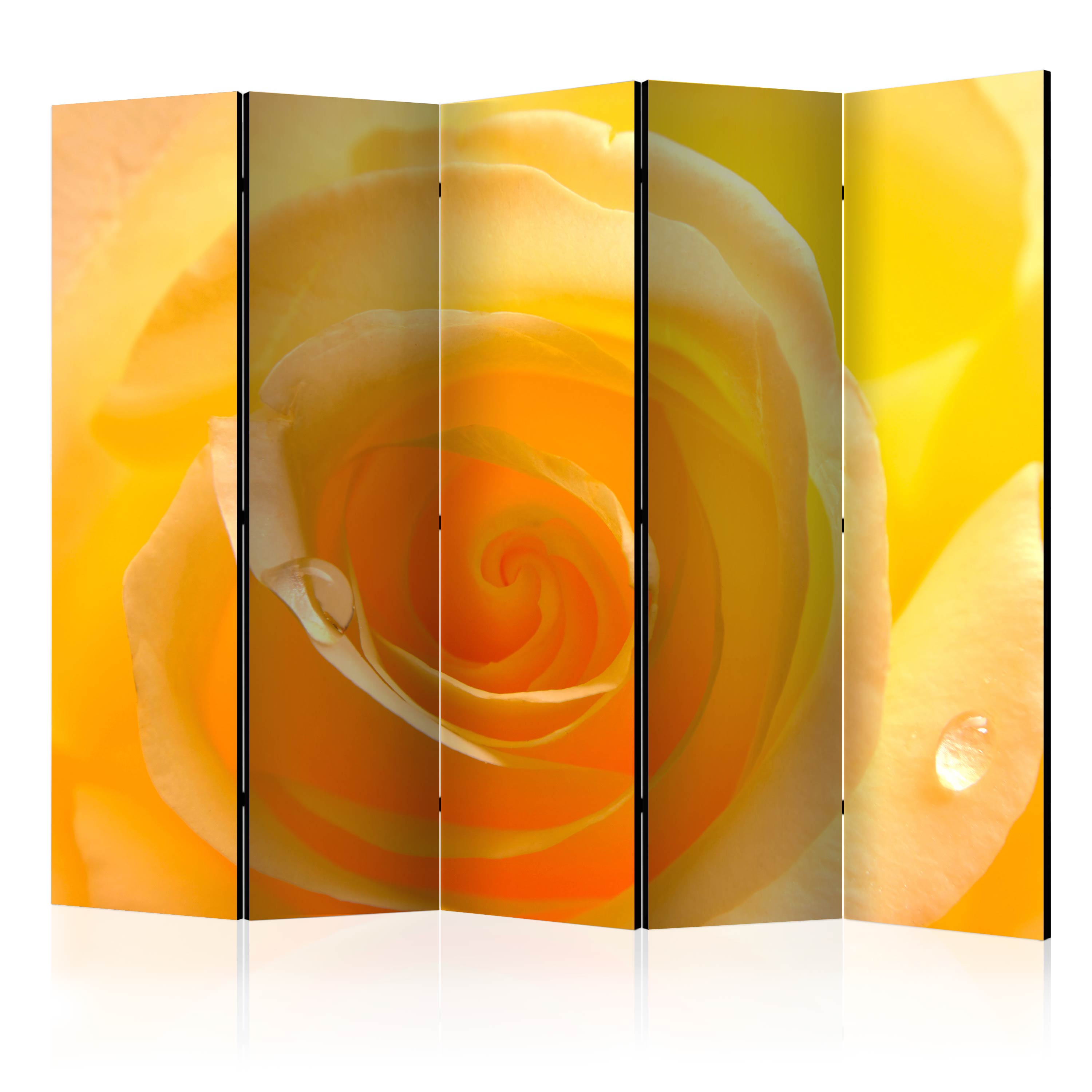 Rumsavdelare Arkiio Yellow Rose II 225x172 cm
