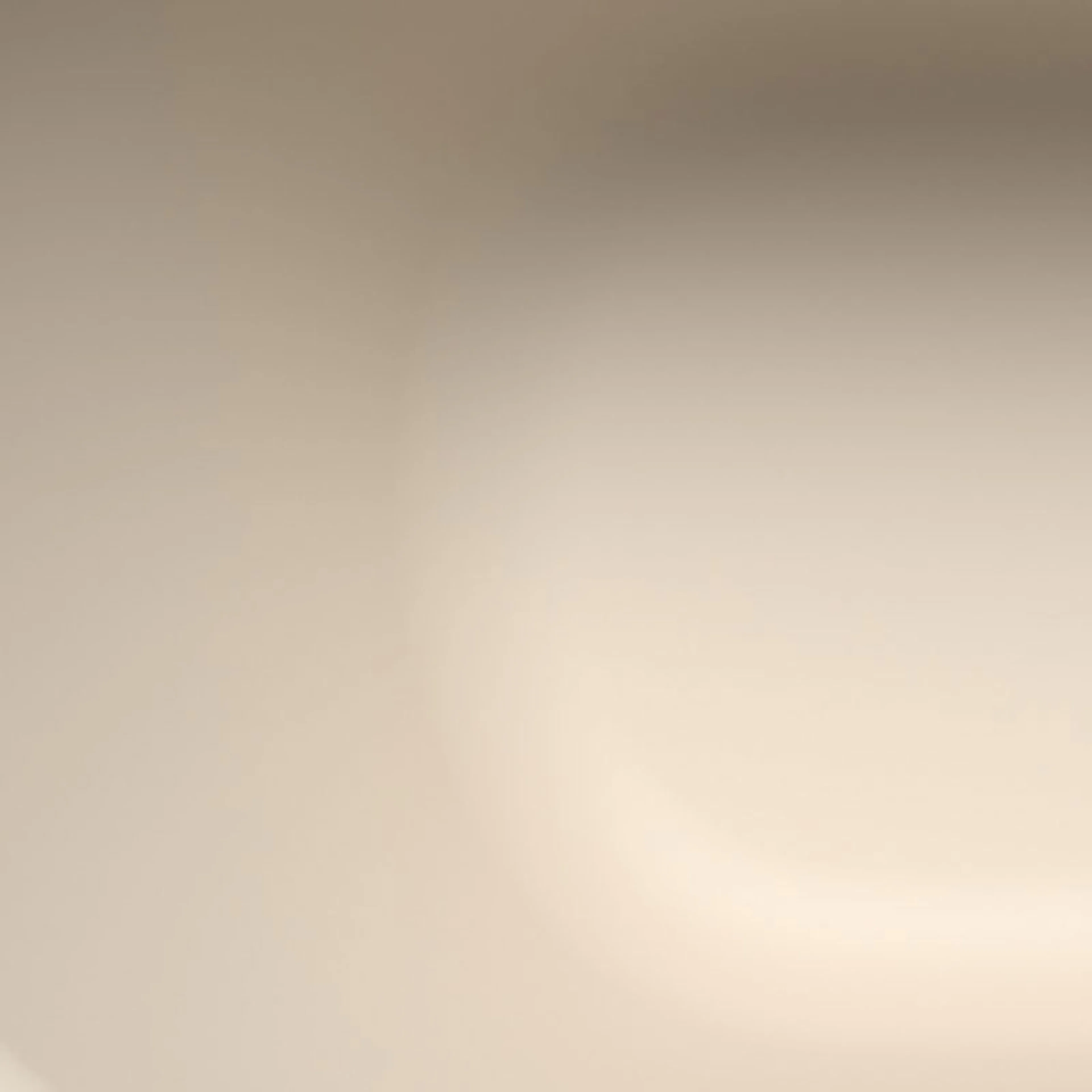 Warm Beige 20