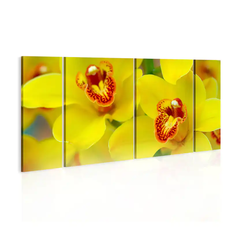 Tavla Arkiio Orchids Intensity Of Yellow Color