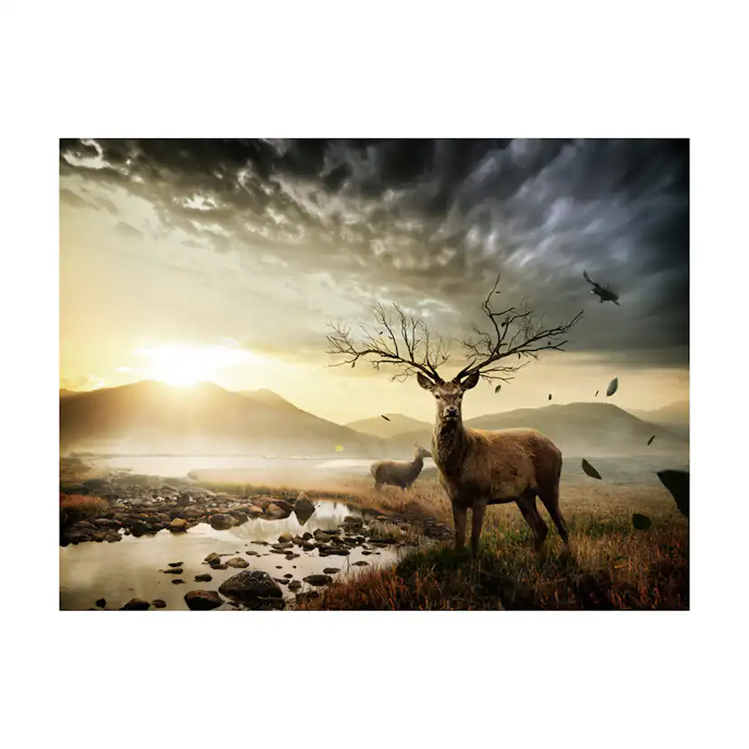 Fototapet Arkiio Deers Genom Fjällbäck