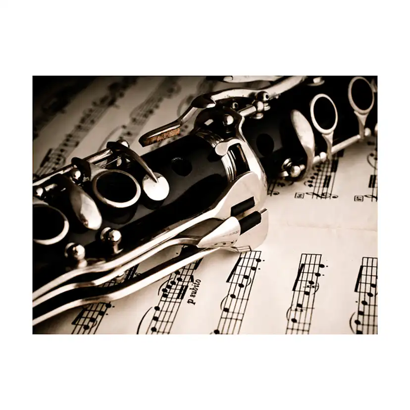 Fototapet Arkiio Clarinet And Music Notes