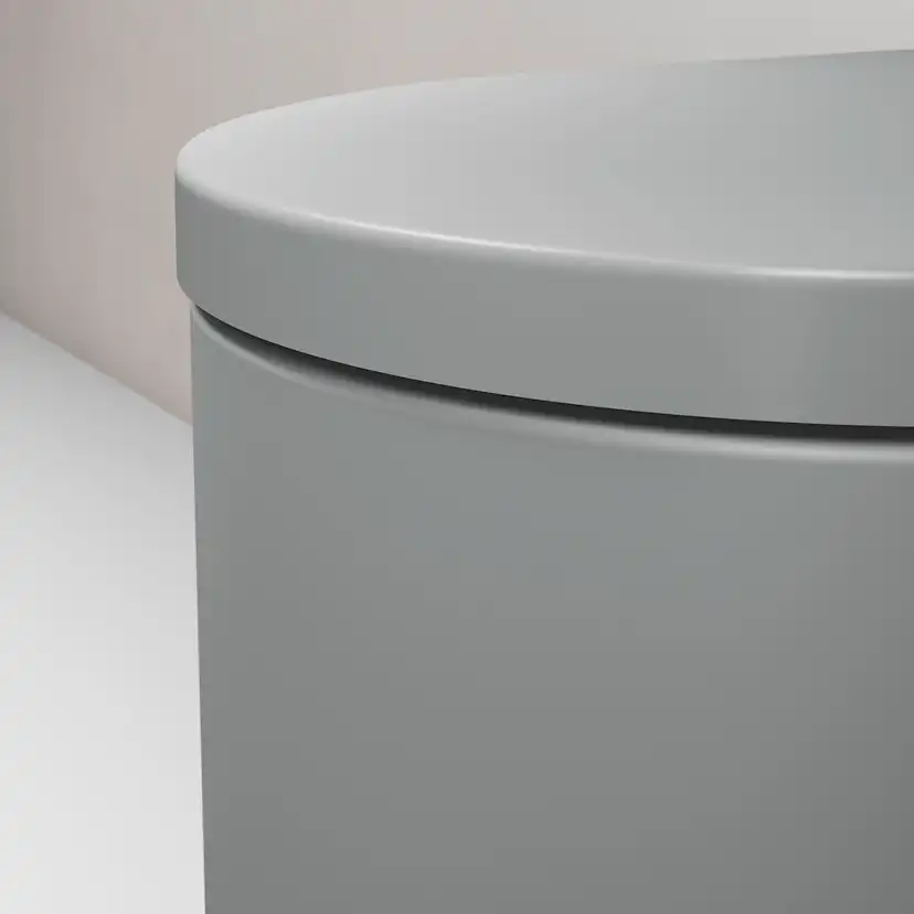Vägghängd Toalettstol Duravit Millio Smooth