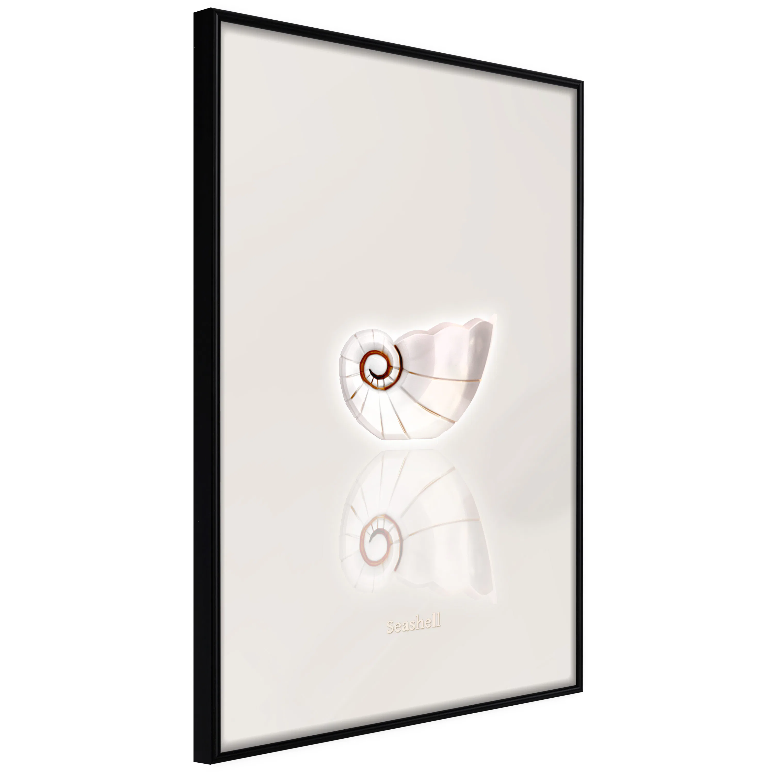 Poster Artgeist Affisch Ceramic Shell