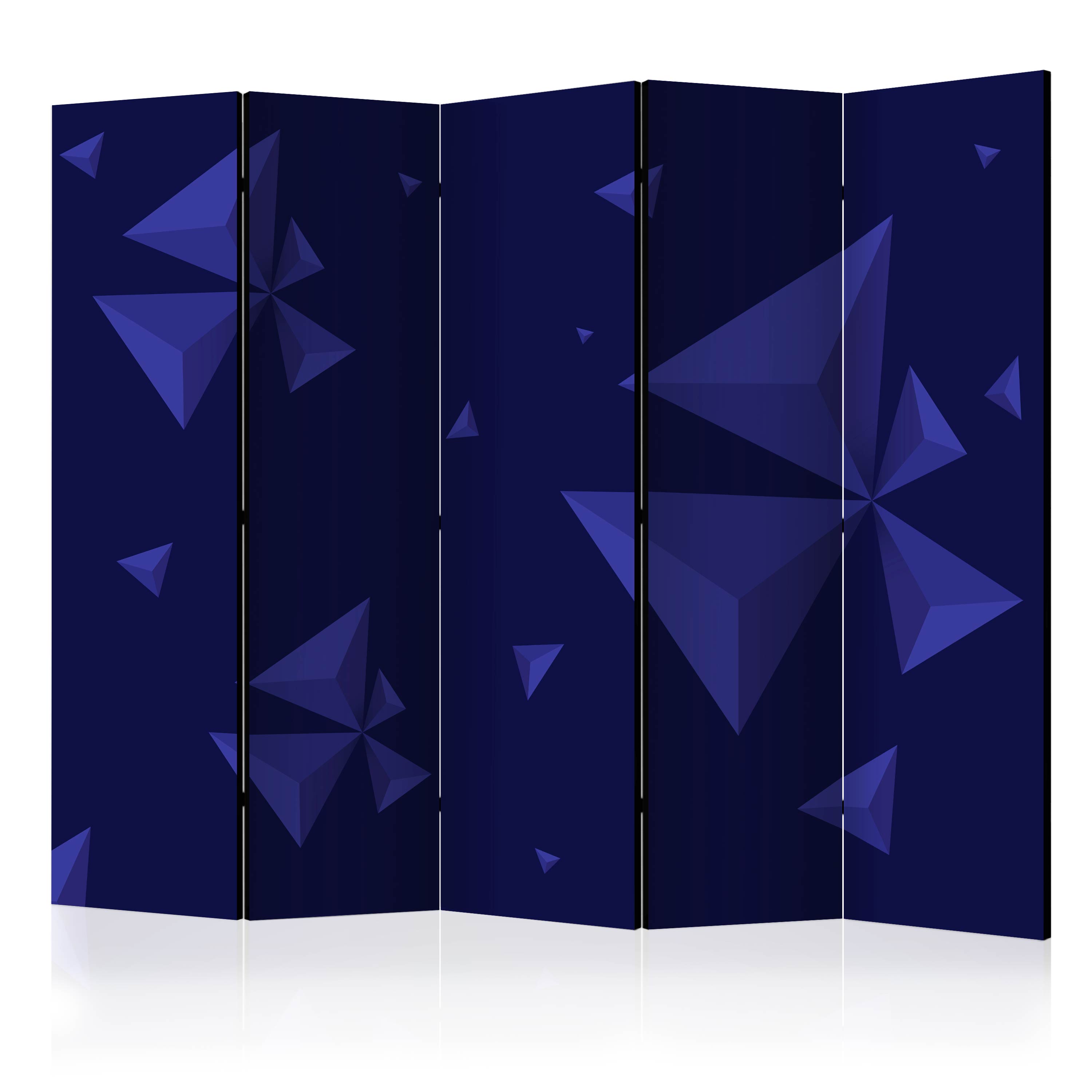 Rumsavdelare Arkiio Meteor Shower II 225x172 cm