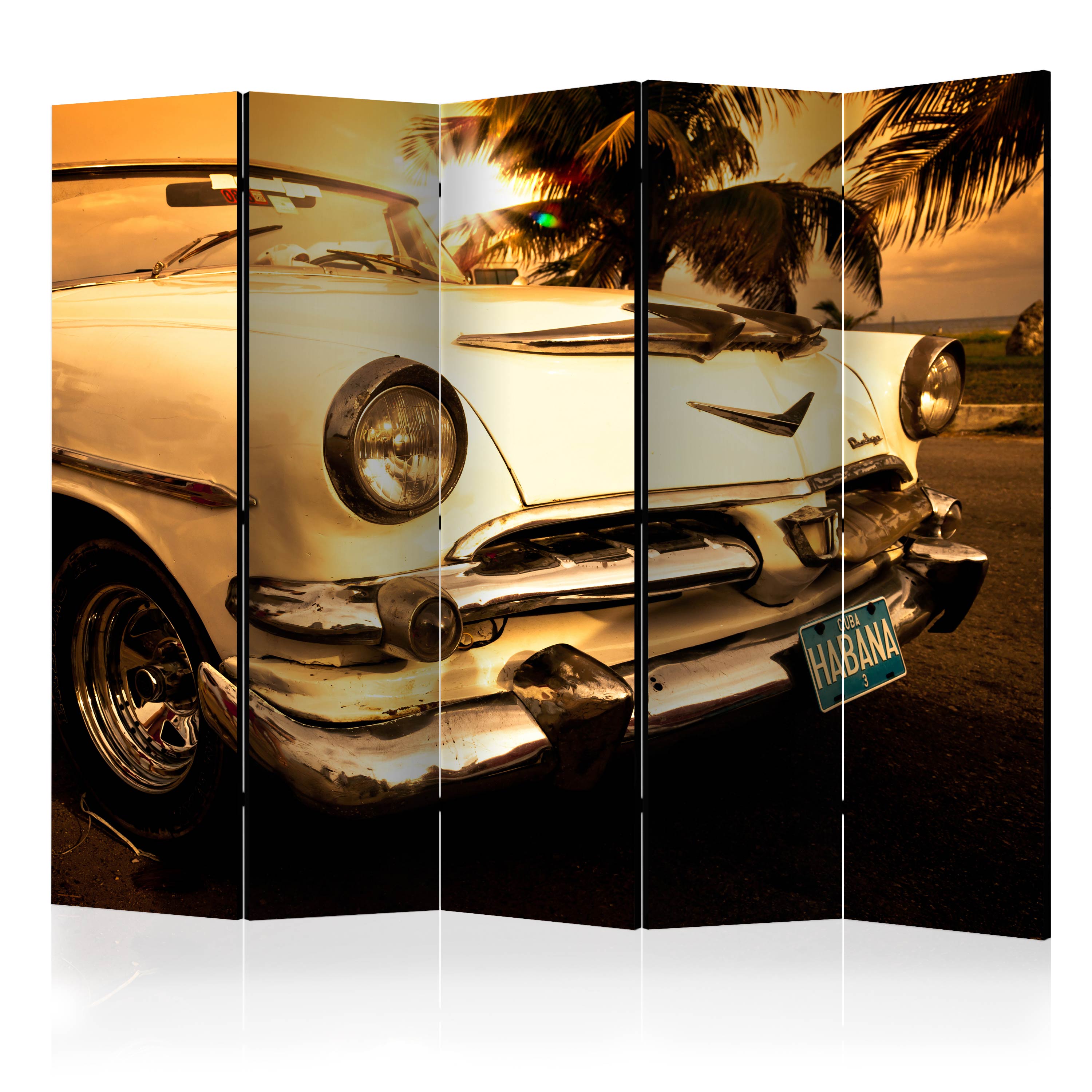 Rumsavdelare Arkiio Viva Havana! II 225x172 cm