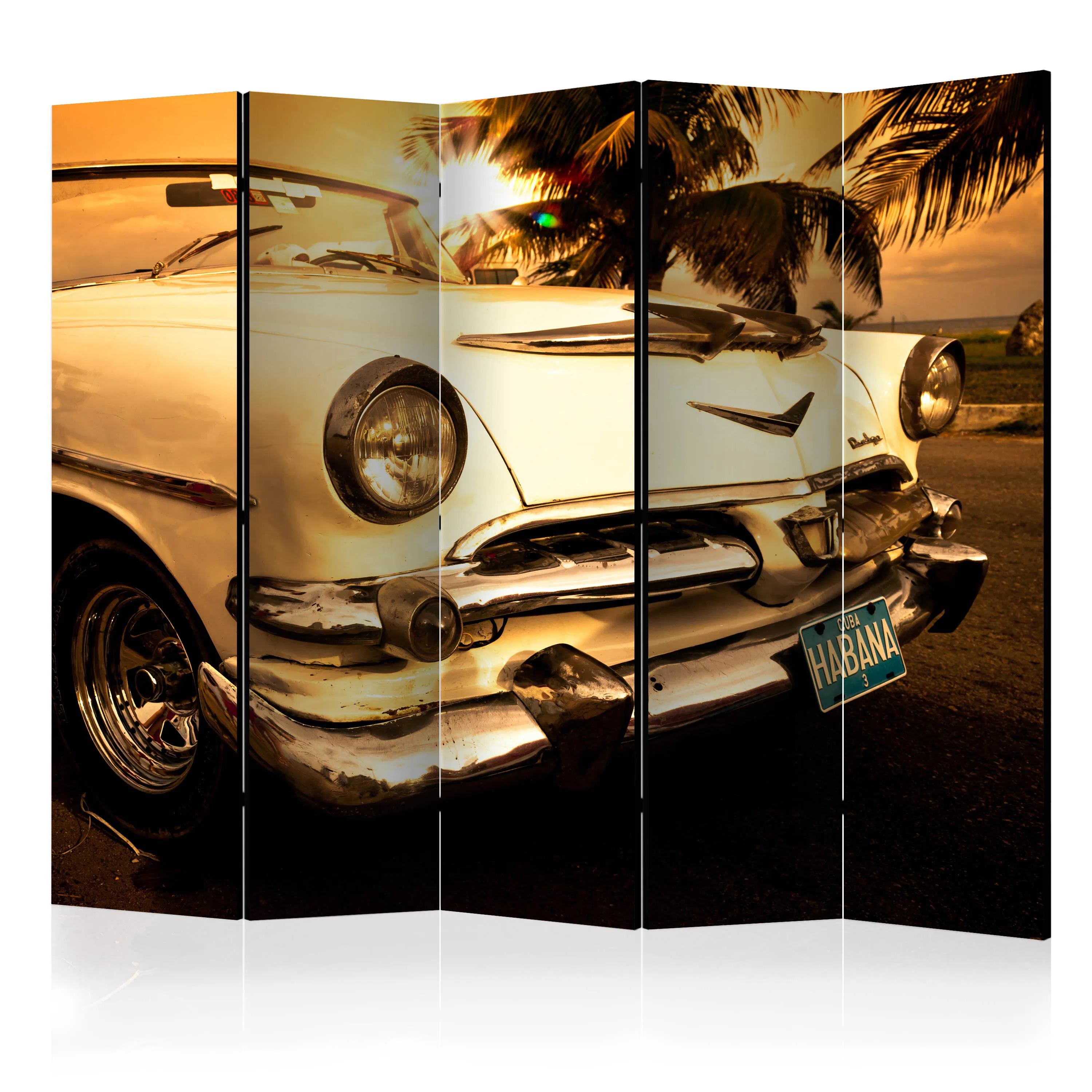 Rumsavdelare Arkiio Viva Havana! II 225x172 cm