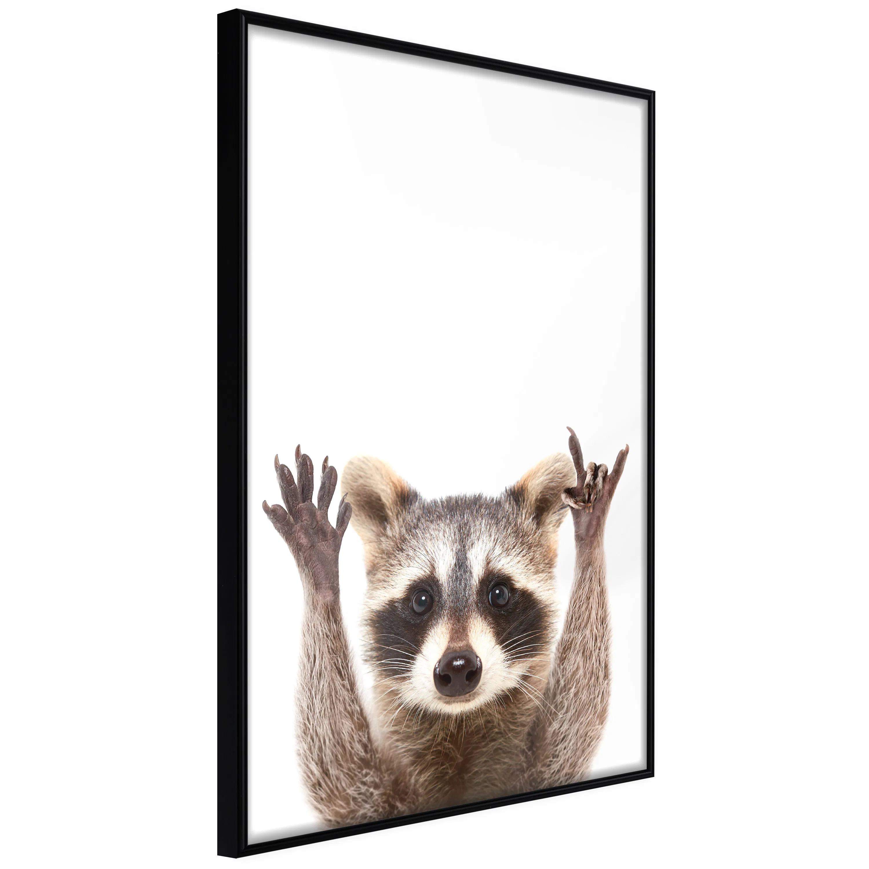 Poster Artgeist Affisch Raccoon