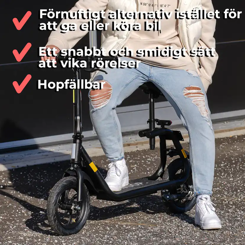 Elscooter Swoop ES800