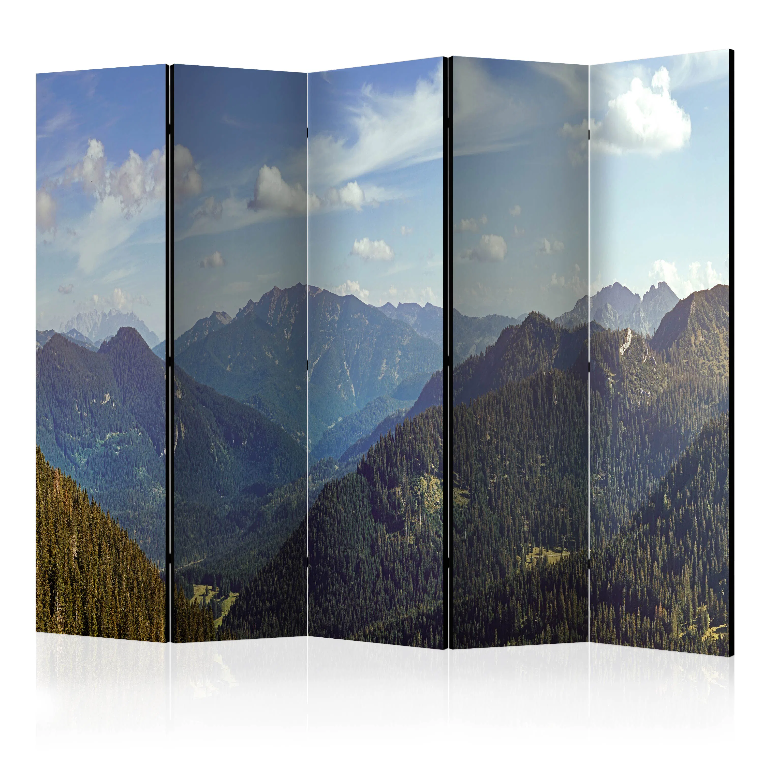 Rumsavdelare Arkiio Mountains’ Magic II 225x172 cm