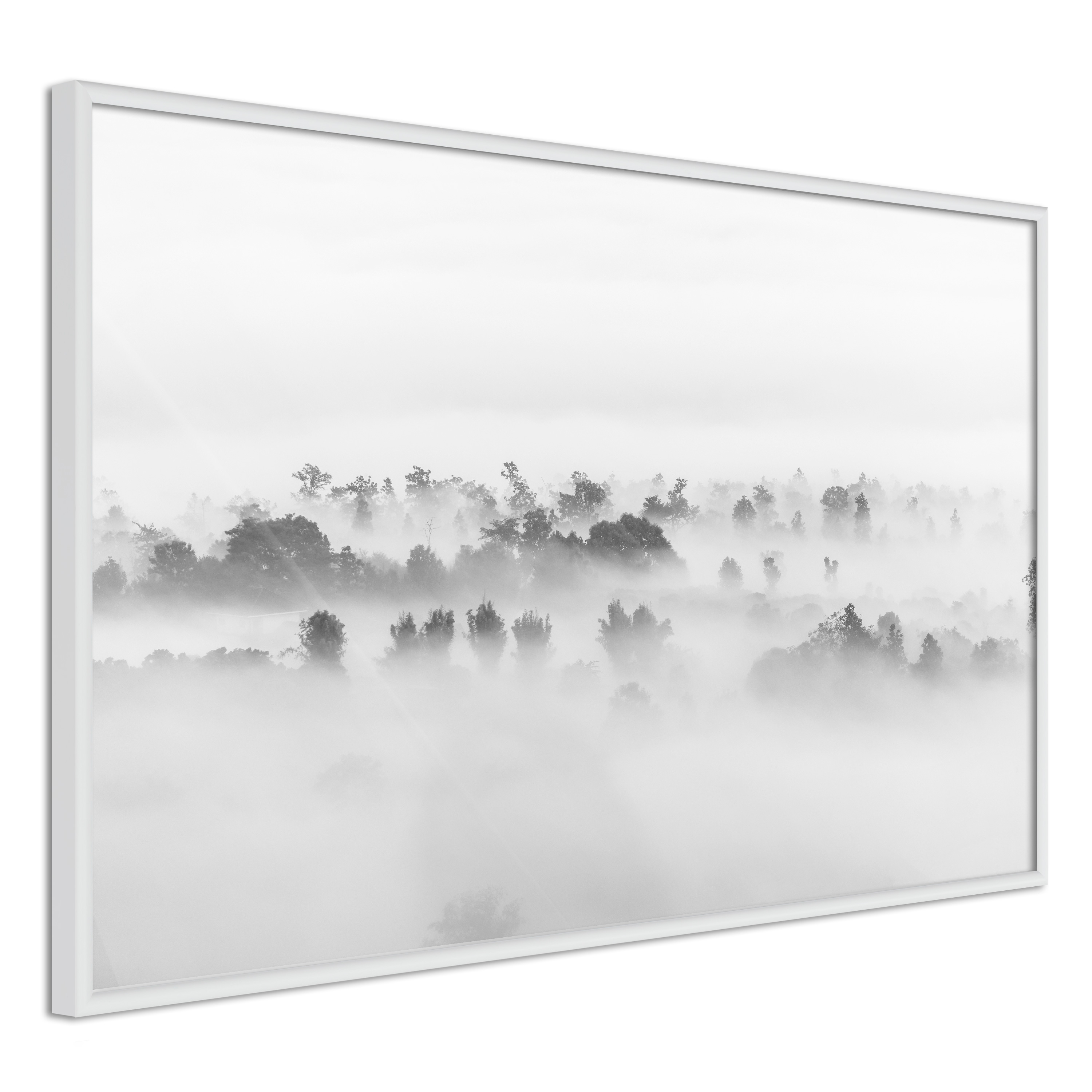 Poster Artgeist Affisch Thick Fog