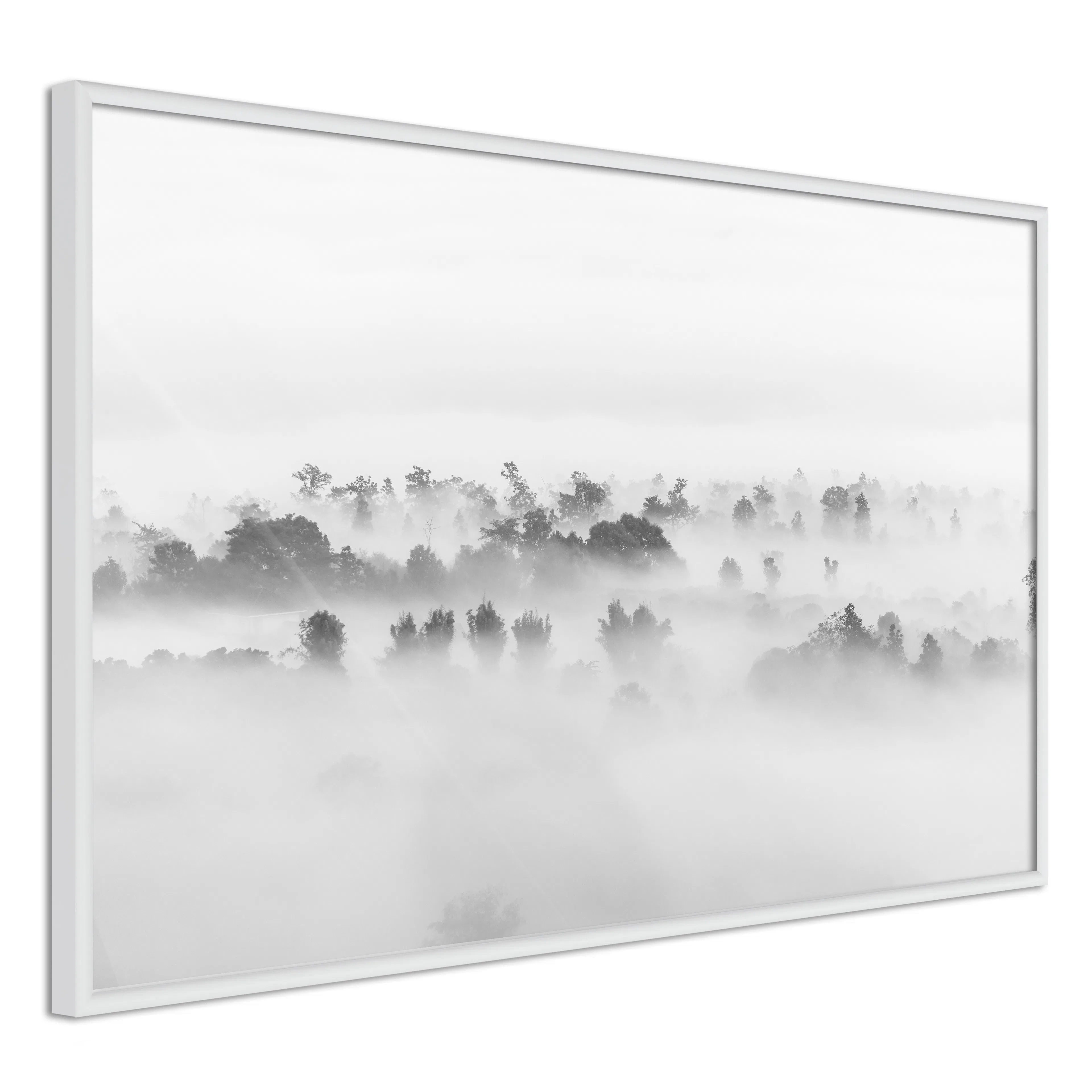 Poster Artgeist Affisch Thick Fog