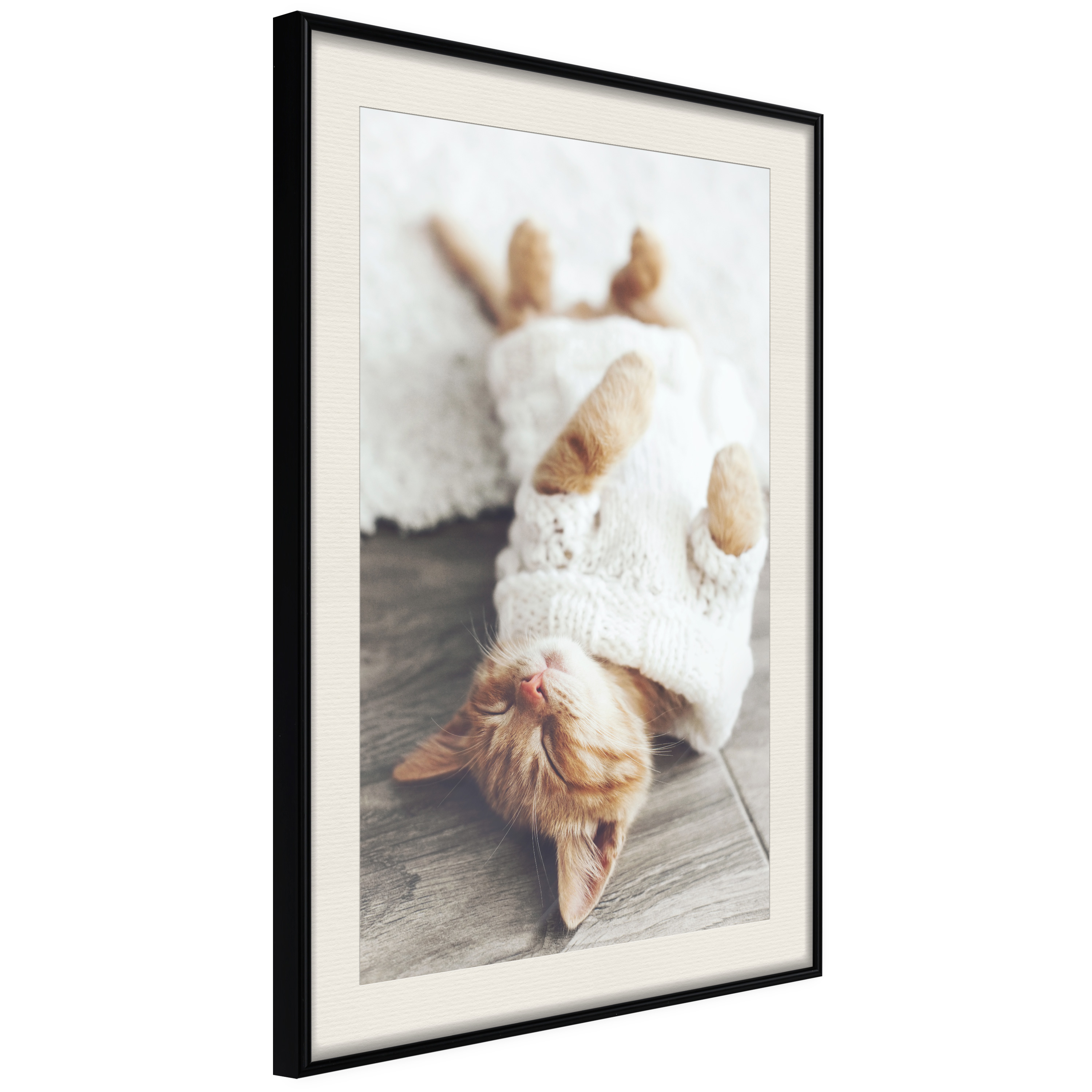 Poster Artgeist Affisch Lazy Cat