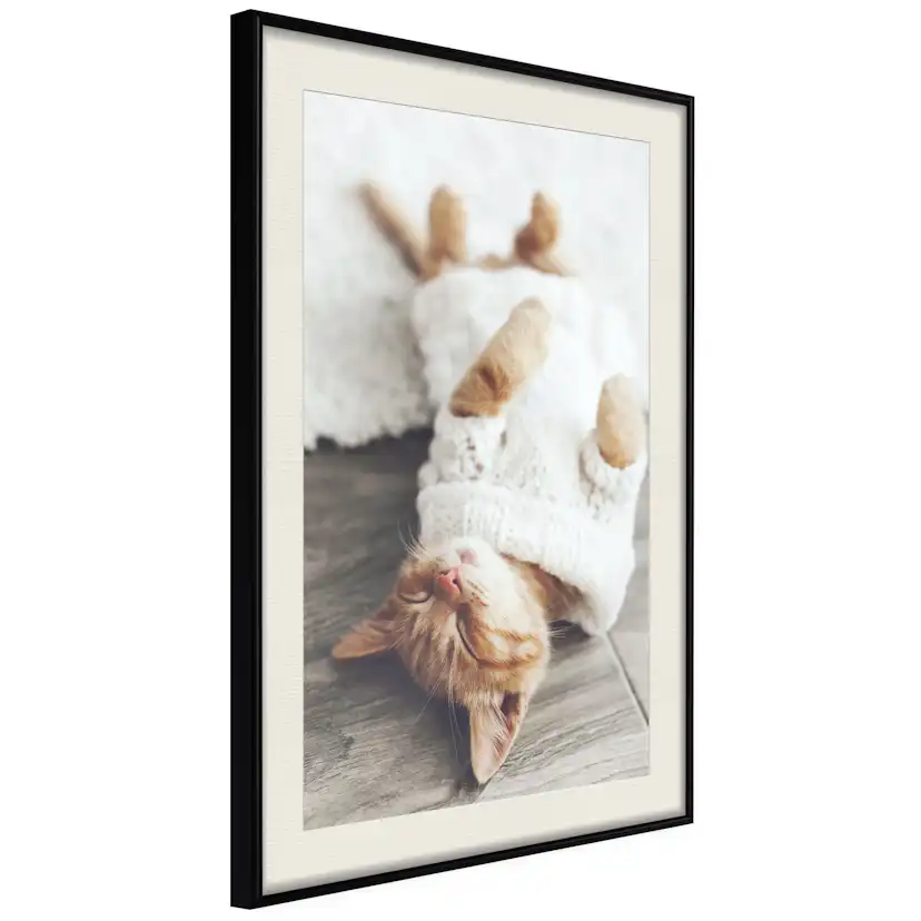 Poster Artgeist Affisch Lazy Cat