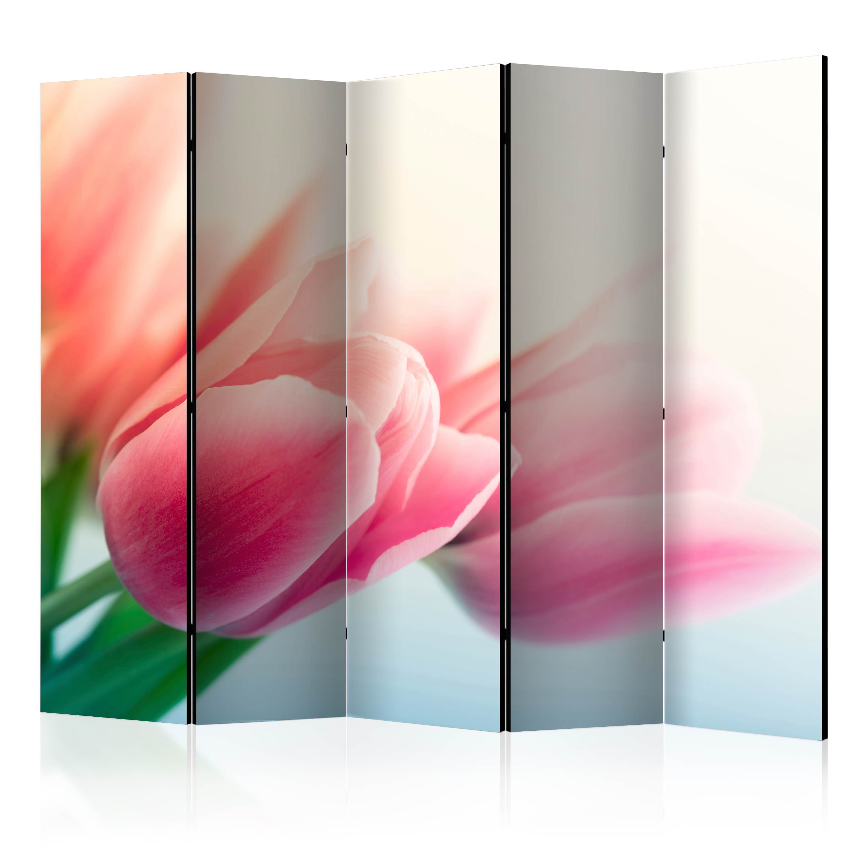 Rumsavdelare Arkiio Spring And Tulips II 225x172 cm