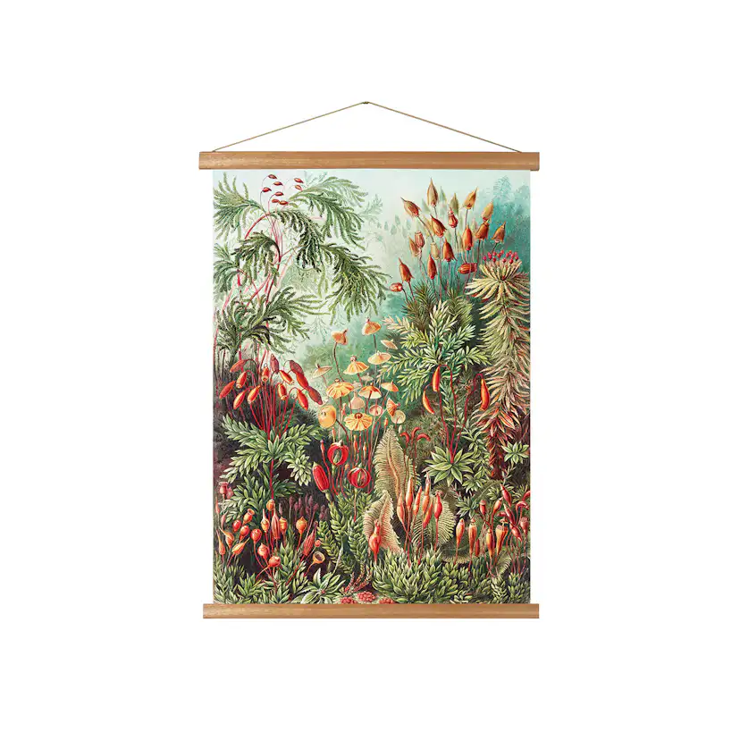 Hängande Affisch Art for the Home Forest 80x60