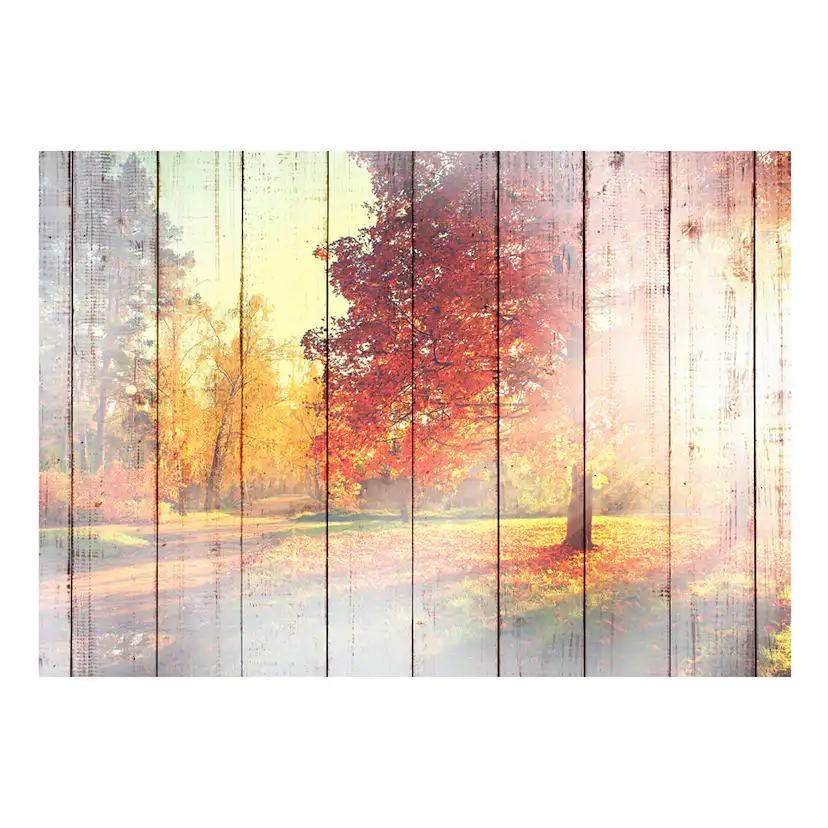 Fototapet Arkiio Autumn Sun