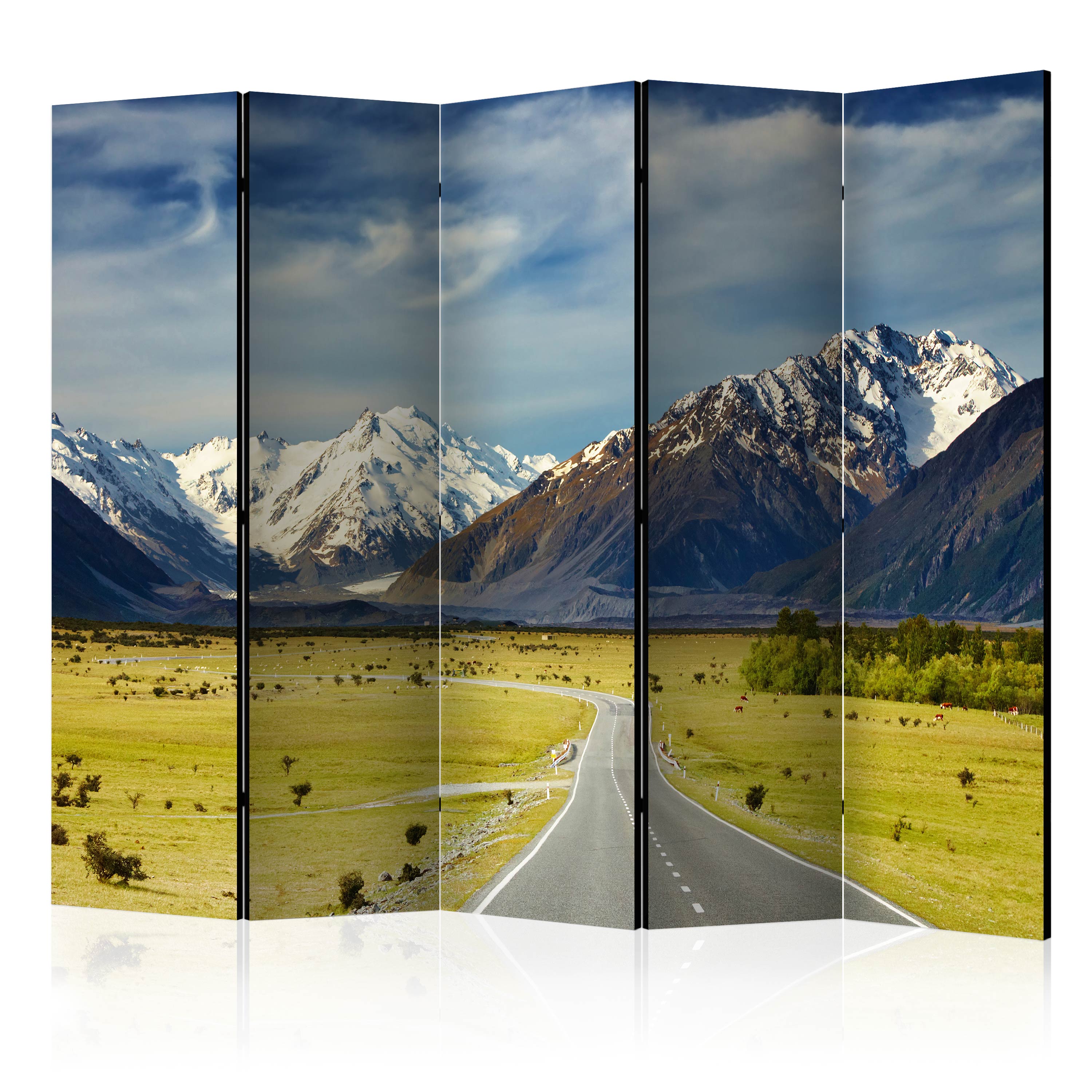 Rumsavdelare Arkiio Southern Alps New Zealand II 225x172 cm