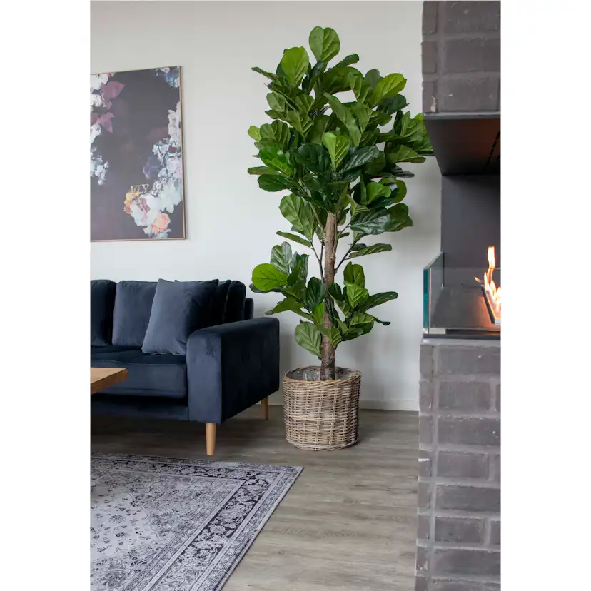 Konstväxt House Nordic Fiddle 190 cm
