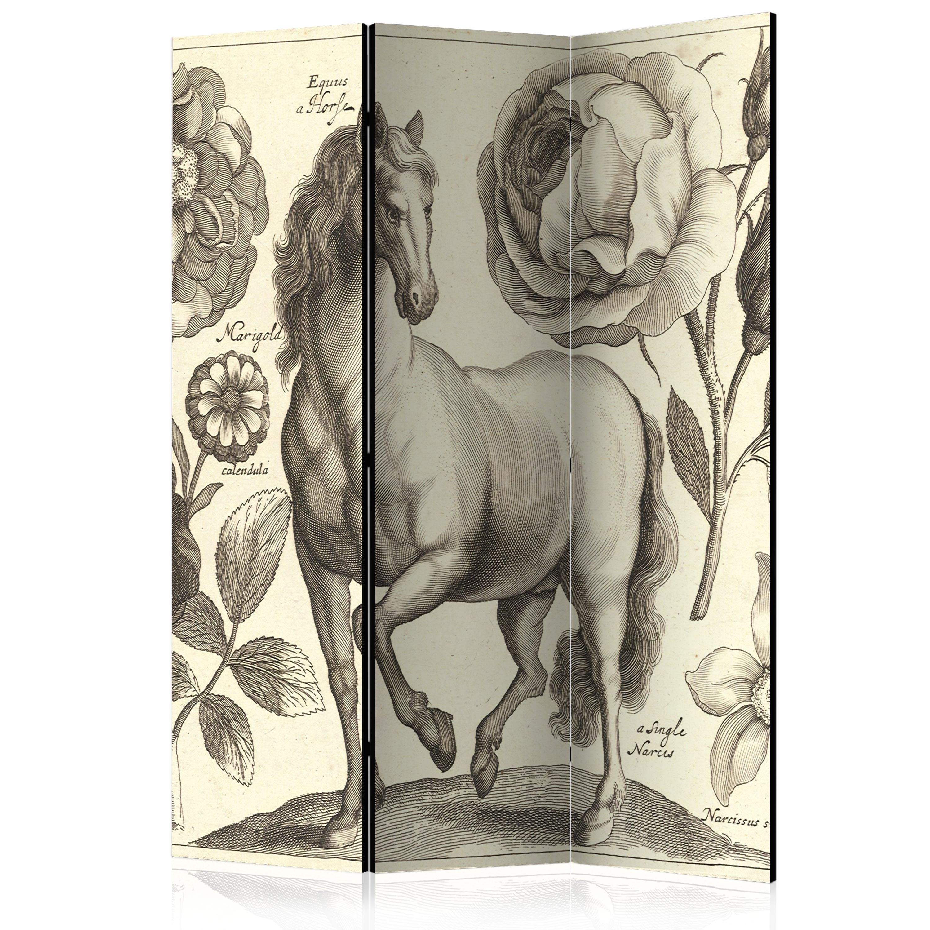 Rumsavdelare Arkiio Horse 135x172 cm