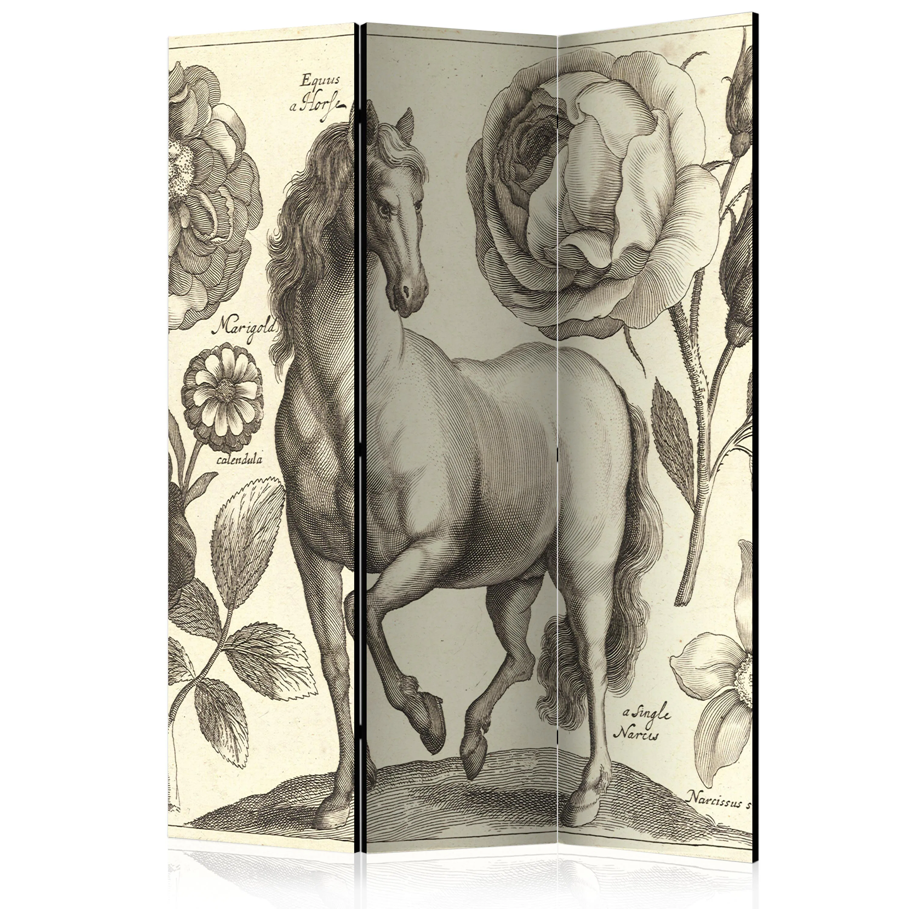 Rumsavdelare Arkiio Horse 135x172 cm