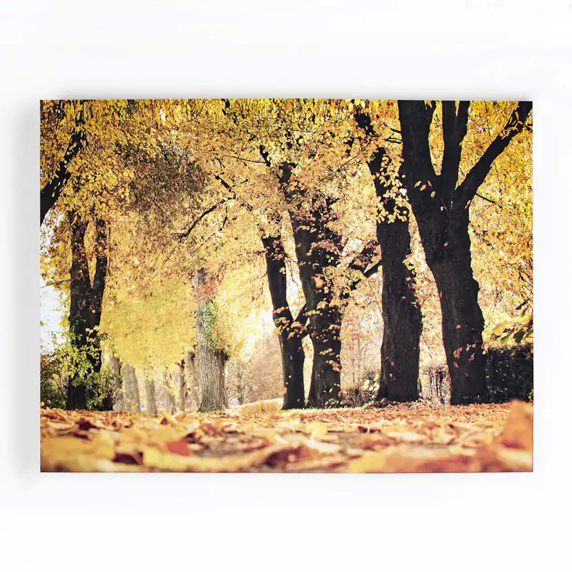 Tavlor Art for the Home Höst 100x75 cm