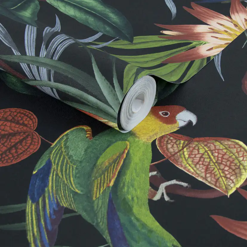 Tapet WOW Papegoja Svart
