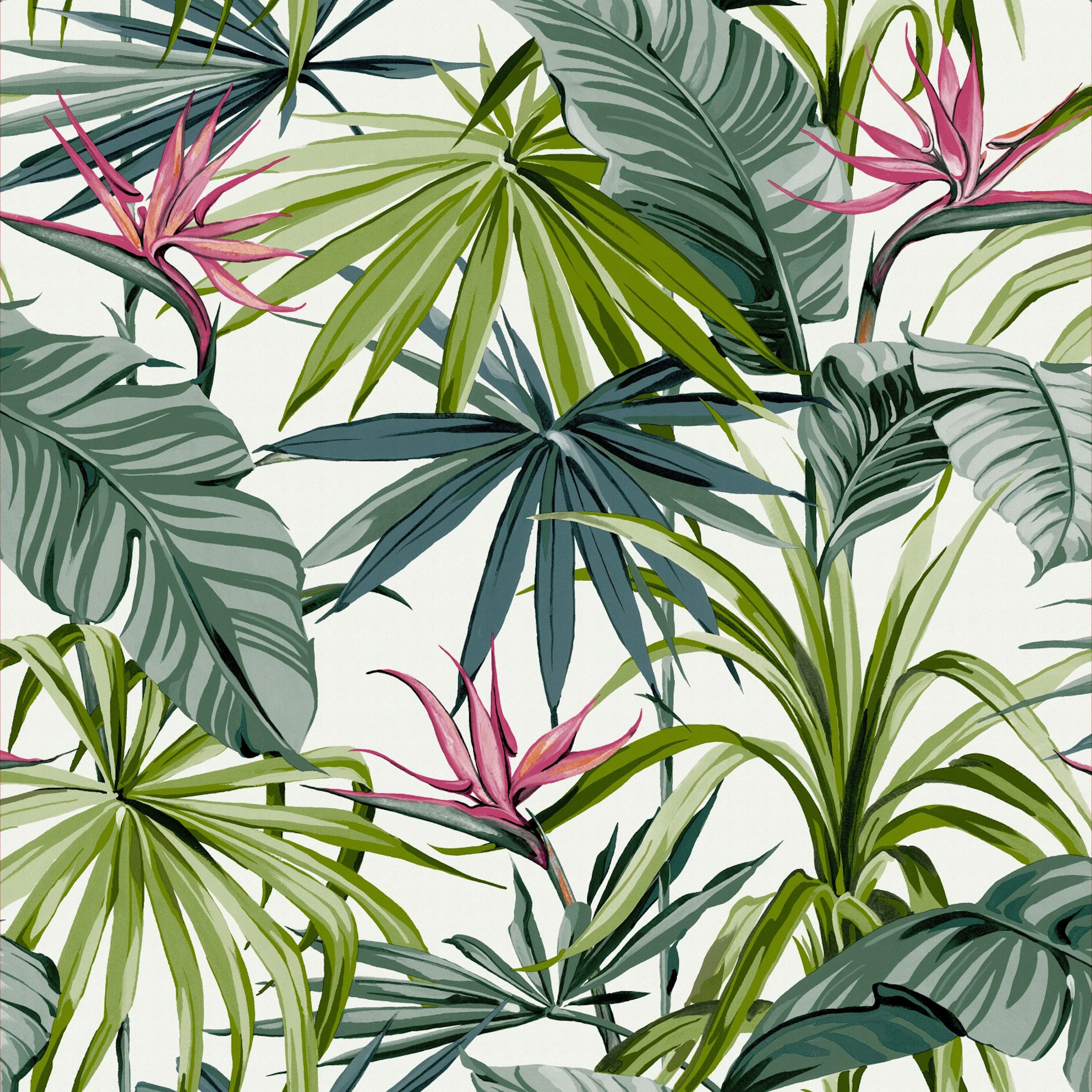 Tapet WOW Bird of Paradise Flower