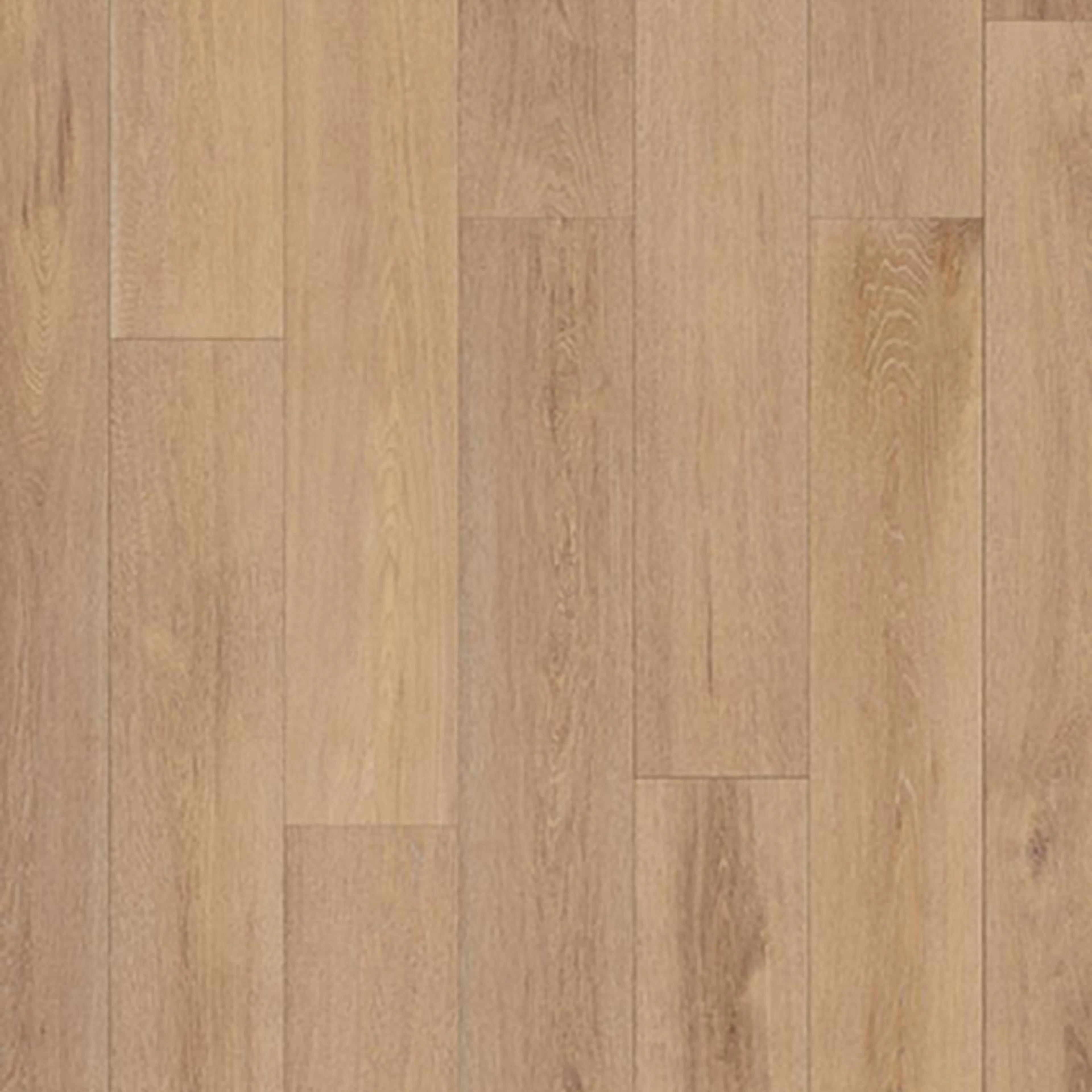 Laminatgolv Moland Hasle Ek Struktur