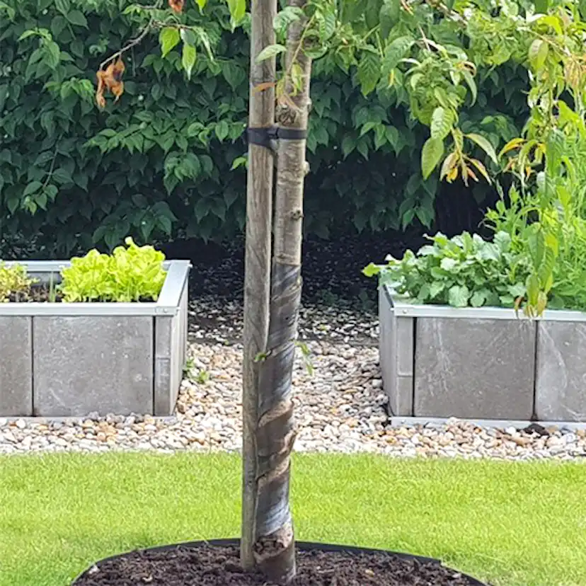 Odlingskrage Skotte Garden Pallkrage av Betongplattor & Zinkplåt, Rektangulär Odlingslåda