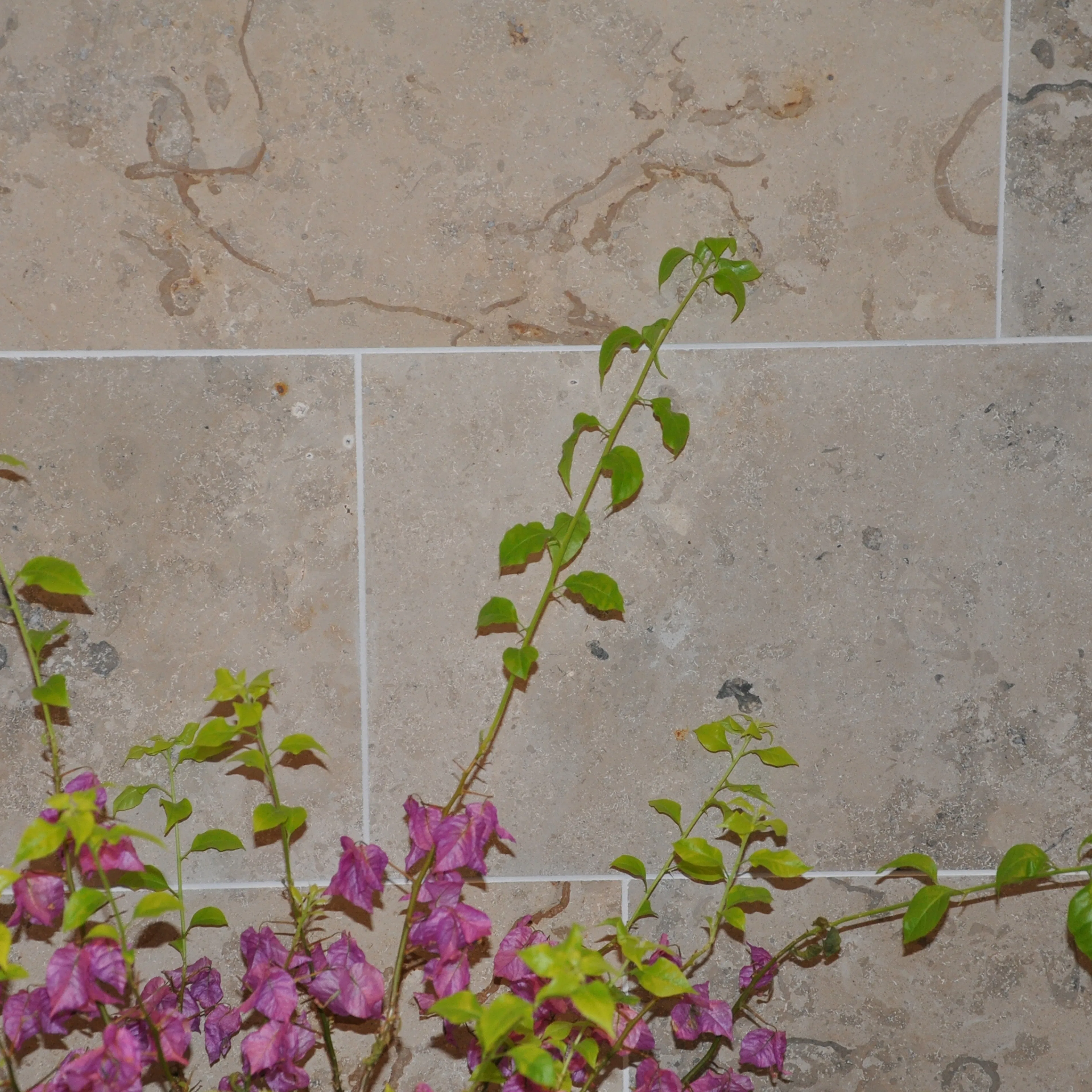 Kalksten Italian Marble Jura Grå Slipad 31x61 cm