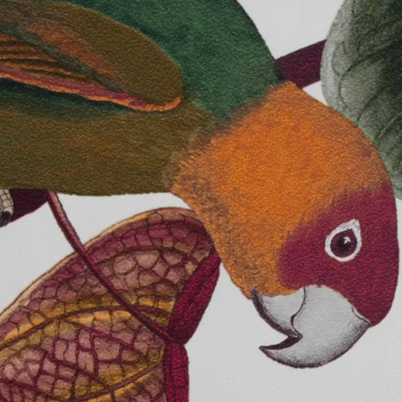 Tapet Superfresco Easy Papegoja Mångfärgad