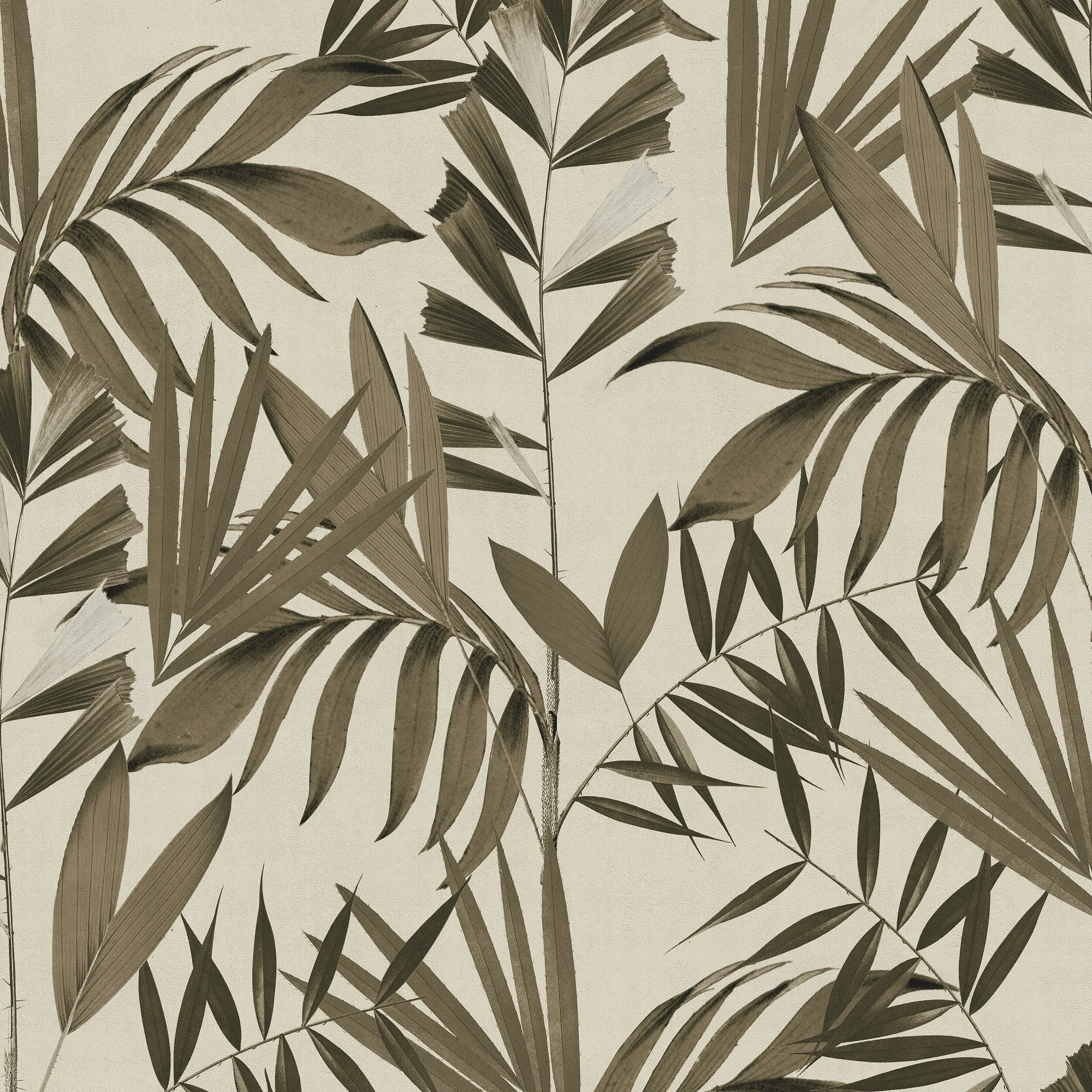 Tapet Superfresco Easy Japan Sepia