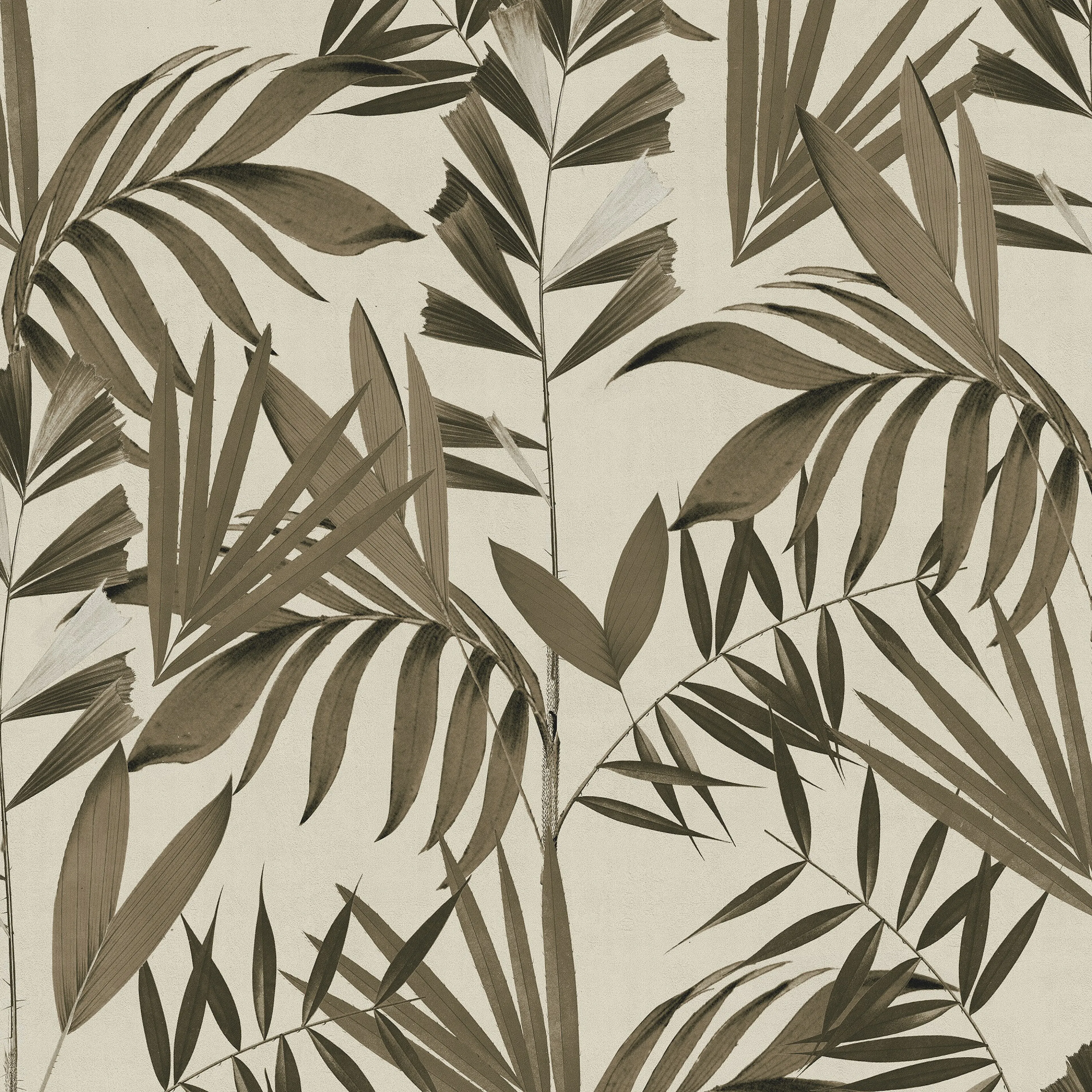 Tapet Superfresco Easy Japan Sepia