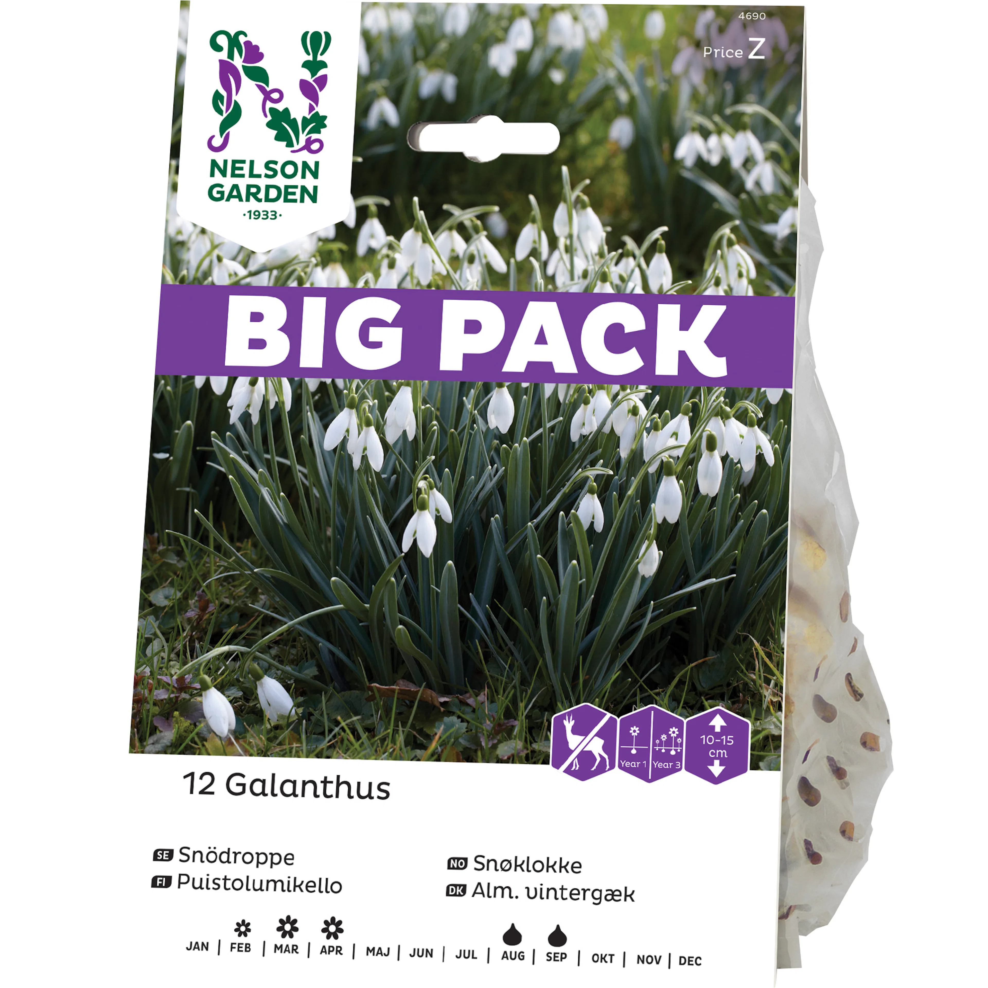 Snödroppe Nelson Garden Galanthus Nivalis Vit Big Pack