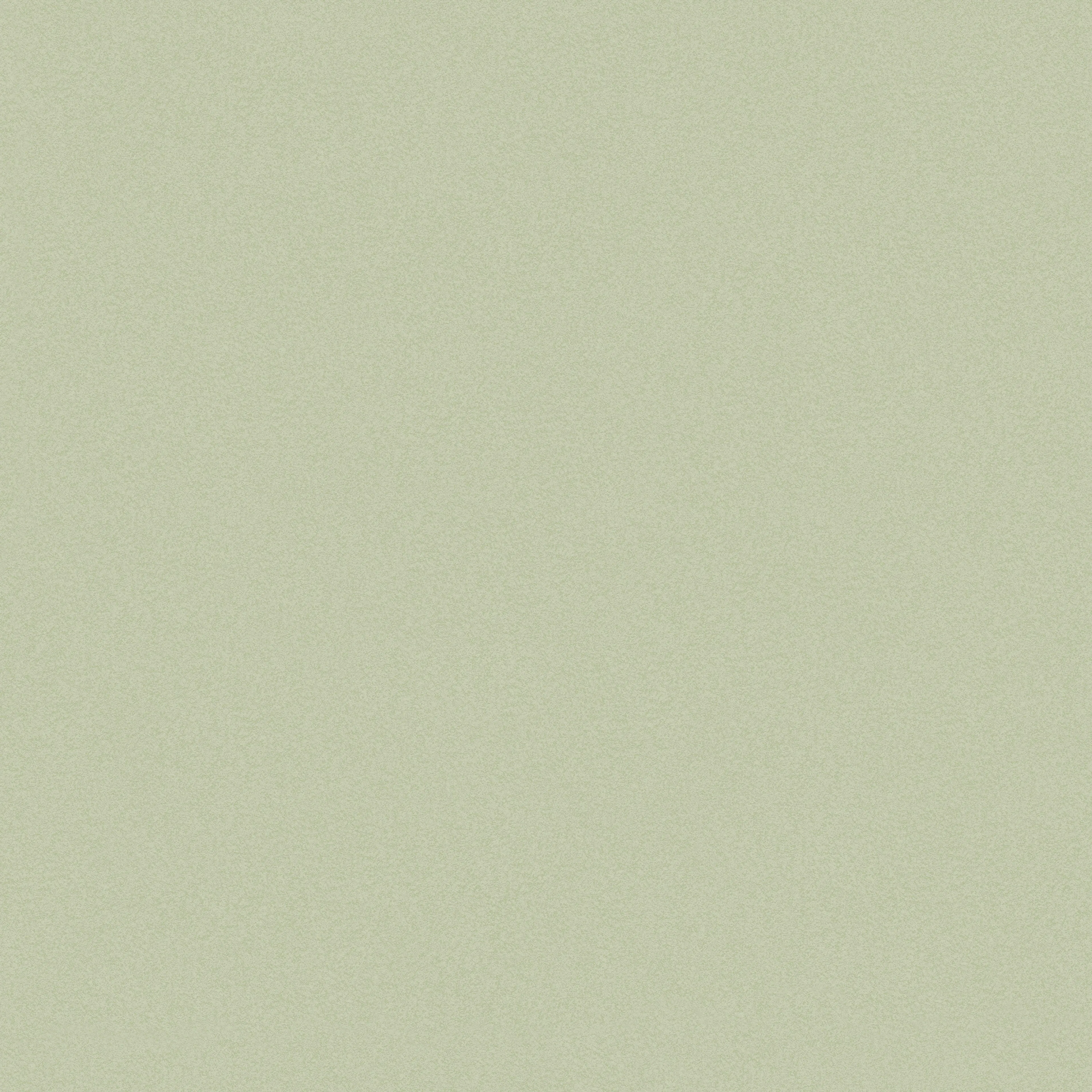 Tapet Joules Enfärgad 120885