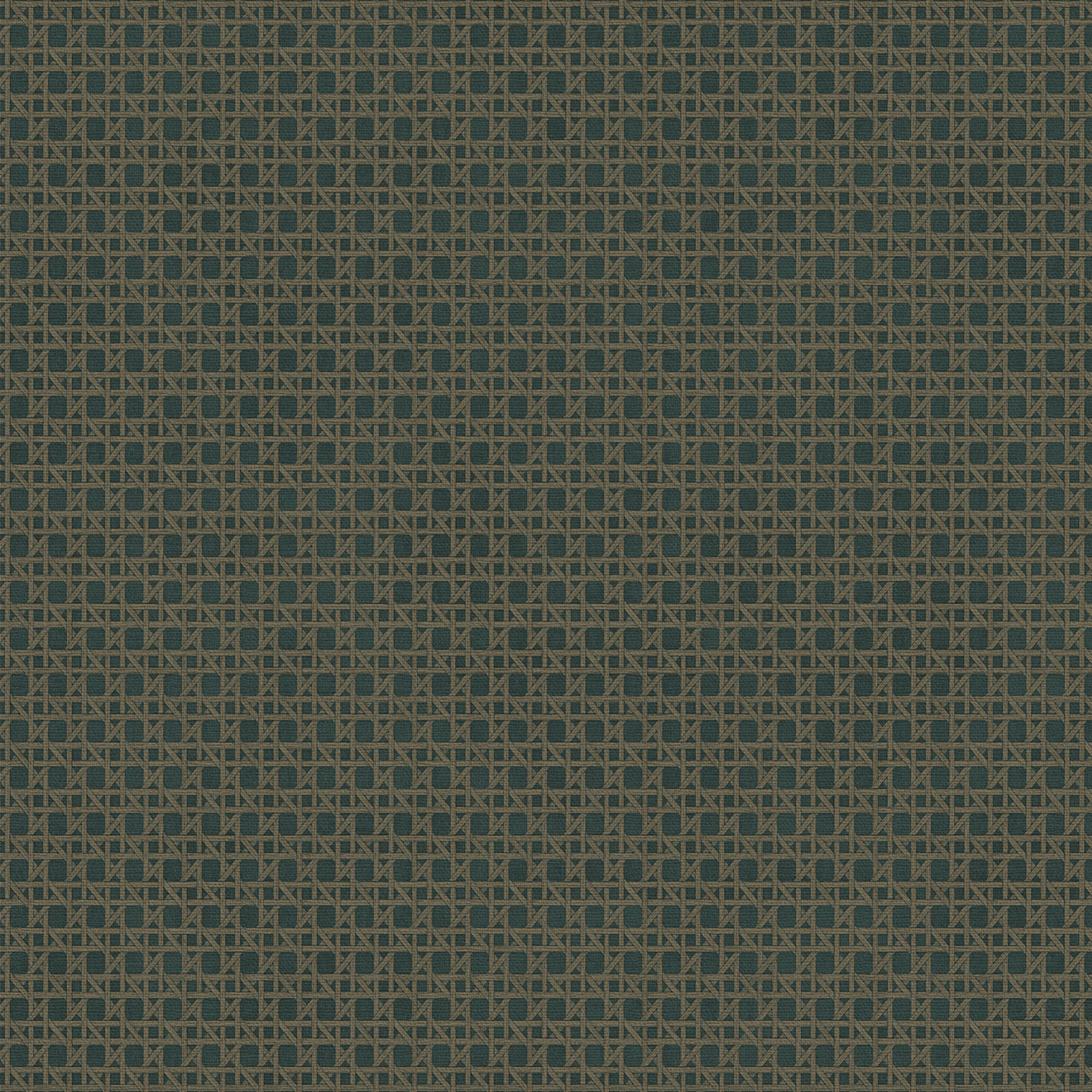 Tapet Sublime Rotan Blå Grön 121861