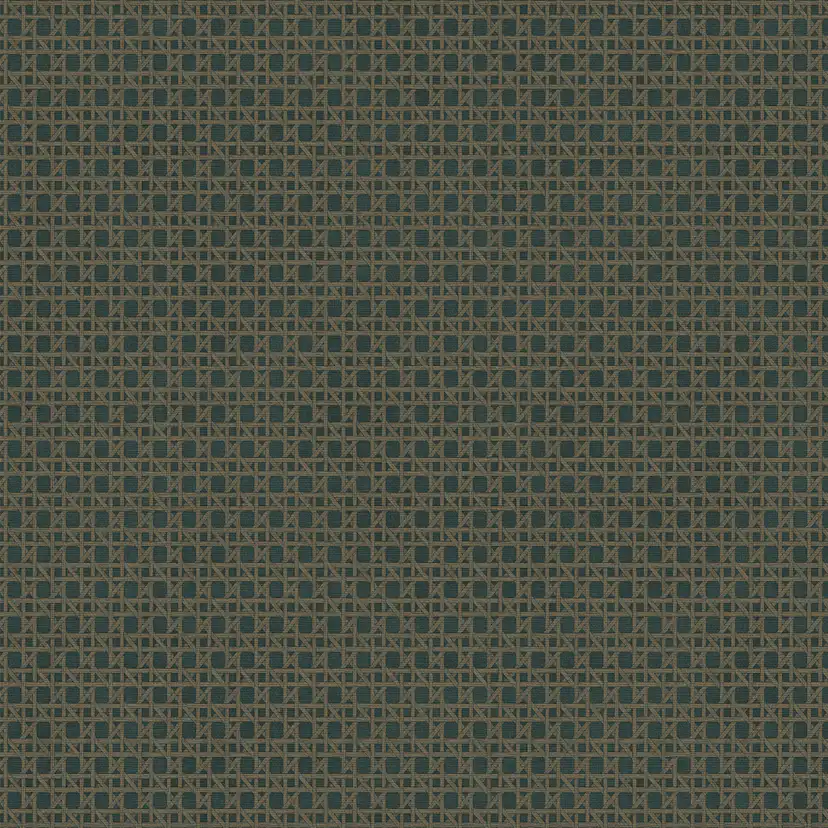Tapet Sublime Rotan Blå Grön 121861