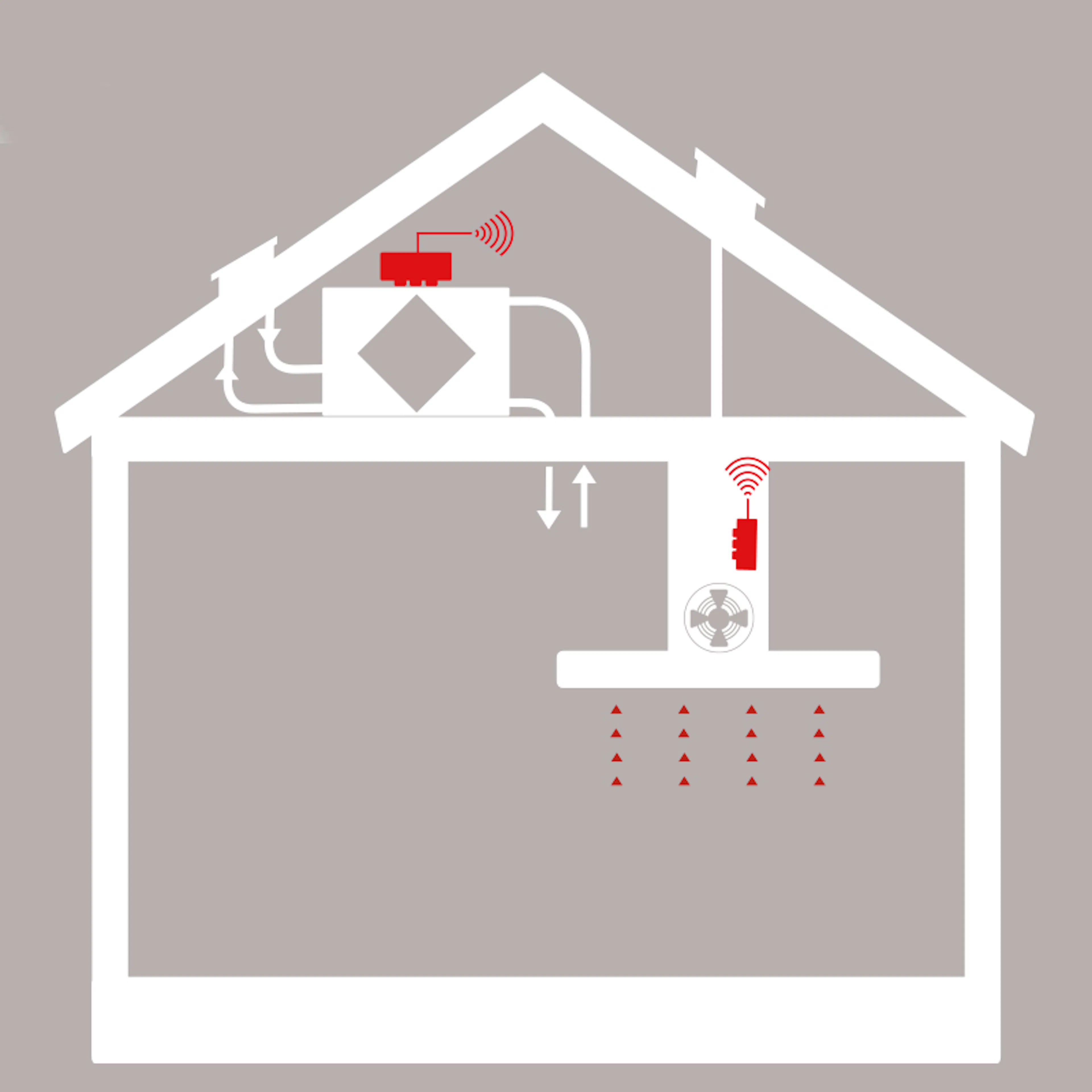 Prolink Thermex Basic II
