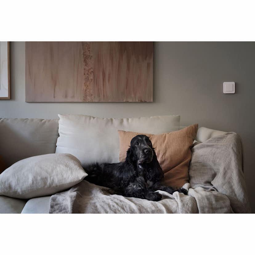 Väggsändare Nexa MWST-1812 med Timer